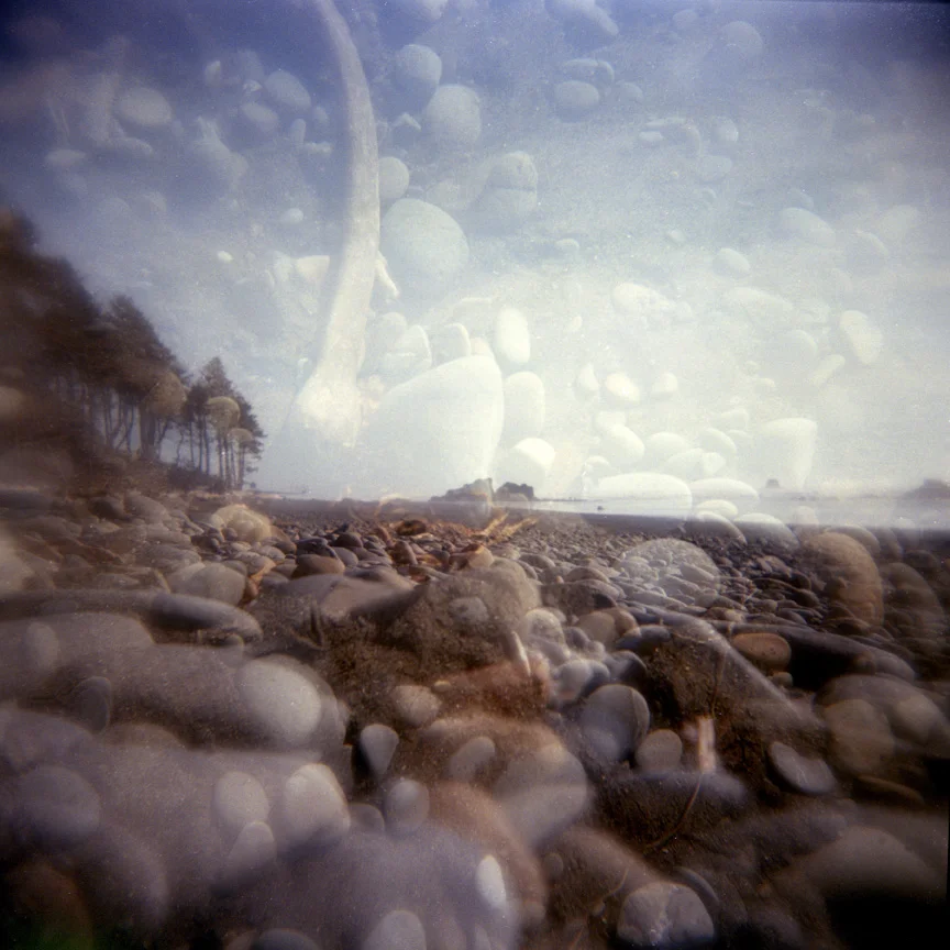 Pacific Waste, Ruby Beachsmall.jpg