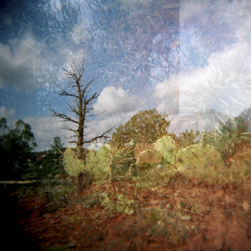 Red Rock Park, Sedonasmall.jpg