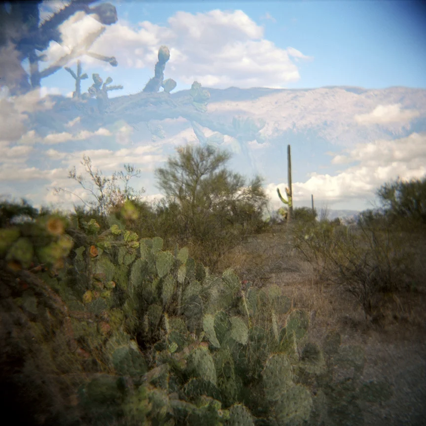 Different Species, TucsonSmall.jpg
