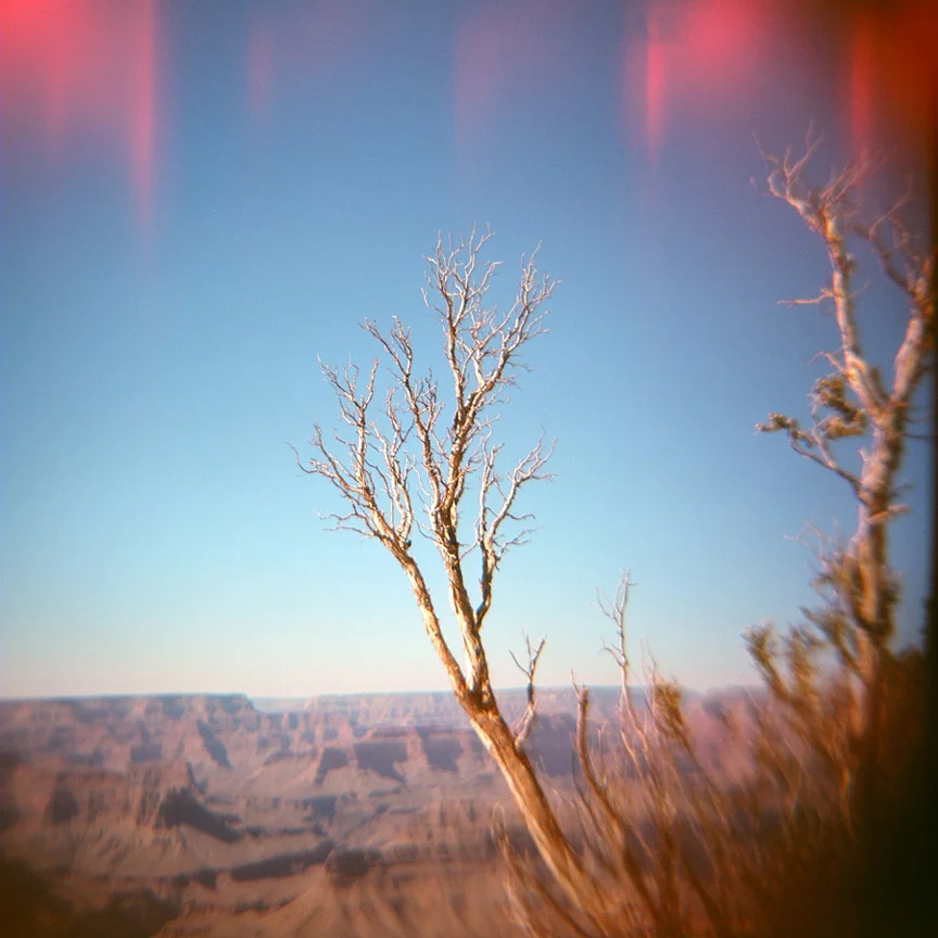 GrandCanyon04small.jpg