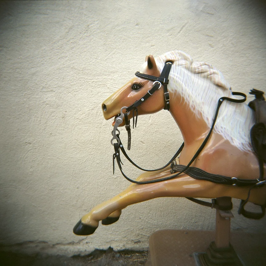 Horsesmall.jpg