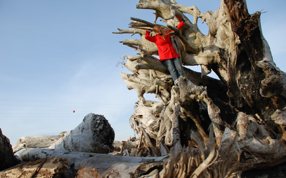 Places013.jpg