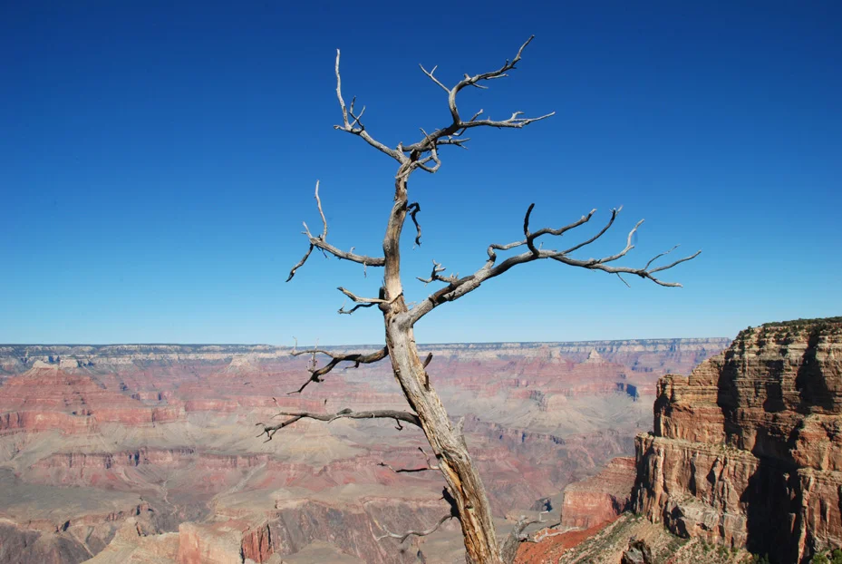 Places022.jpg