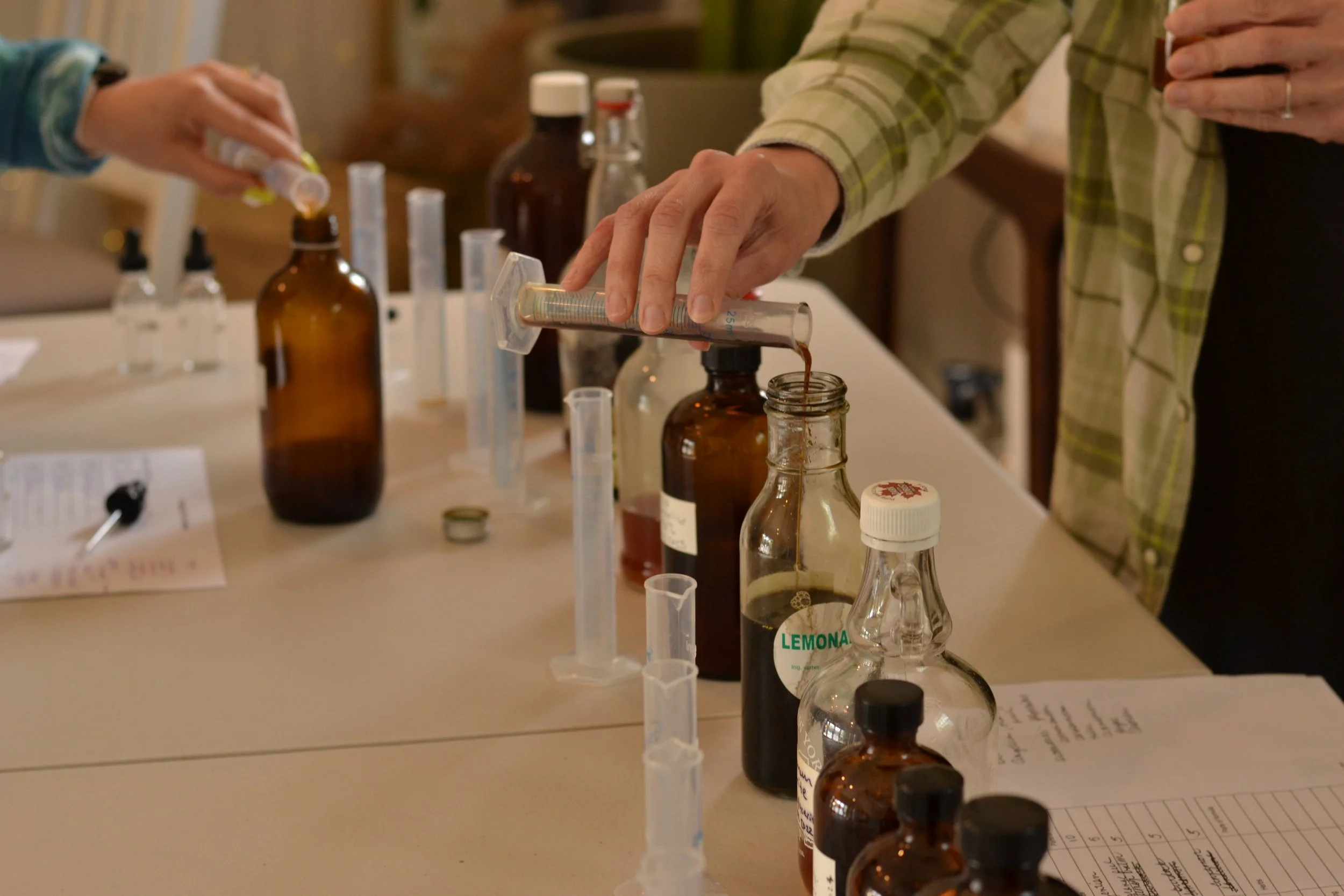 advanced apothecary pic 7.JPG