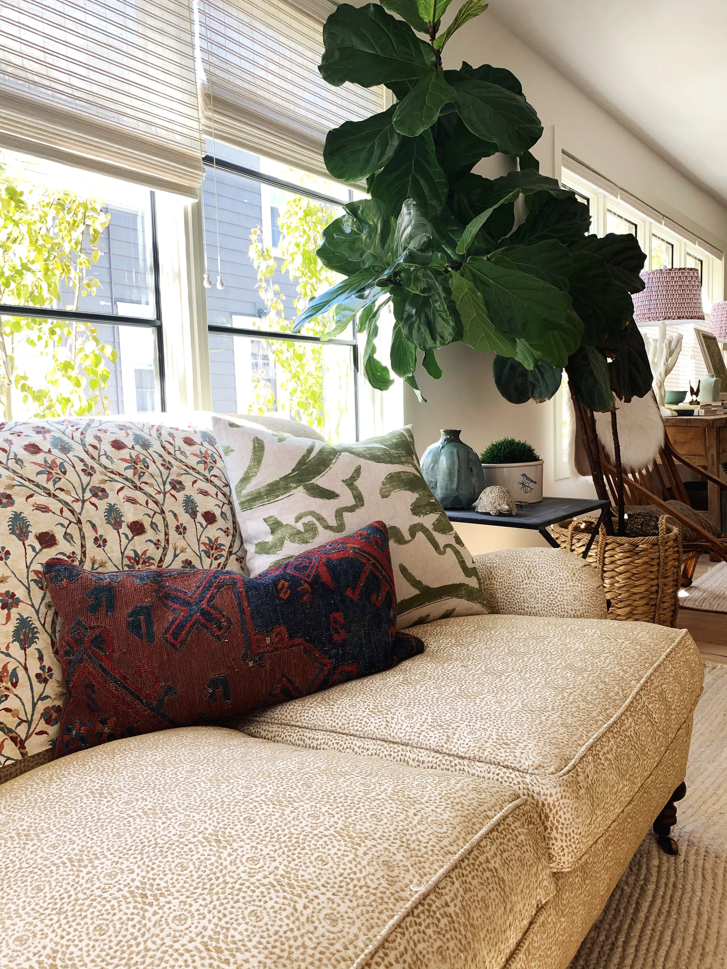 Grimes LR Closeup.JPG