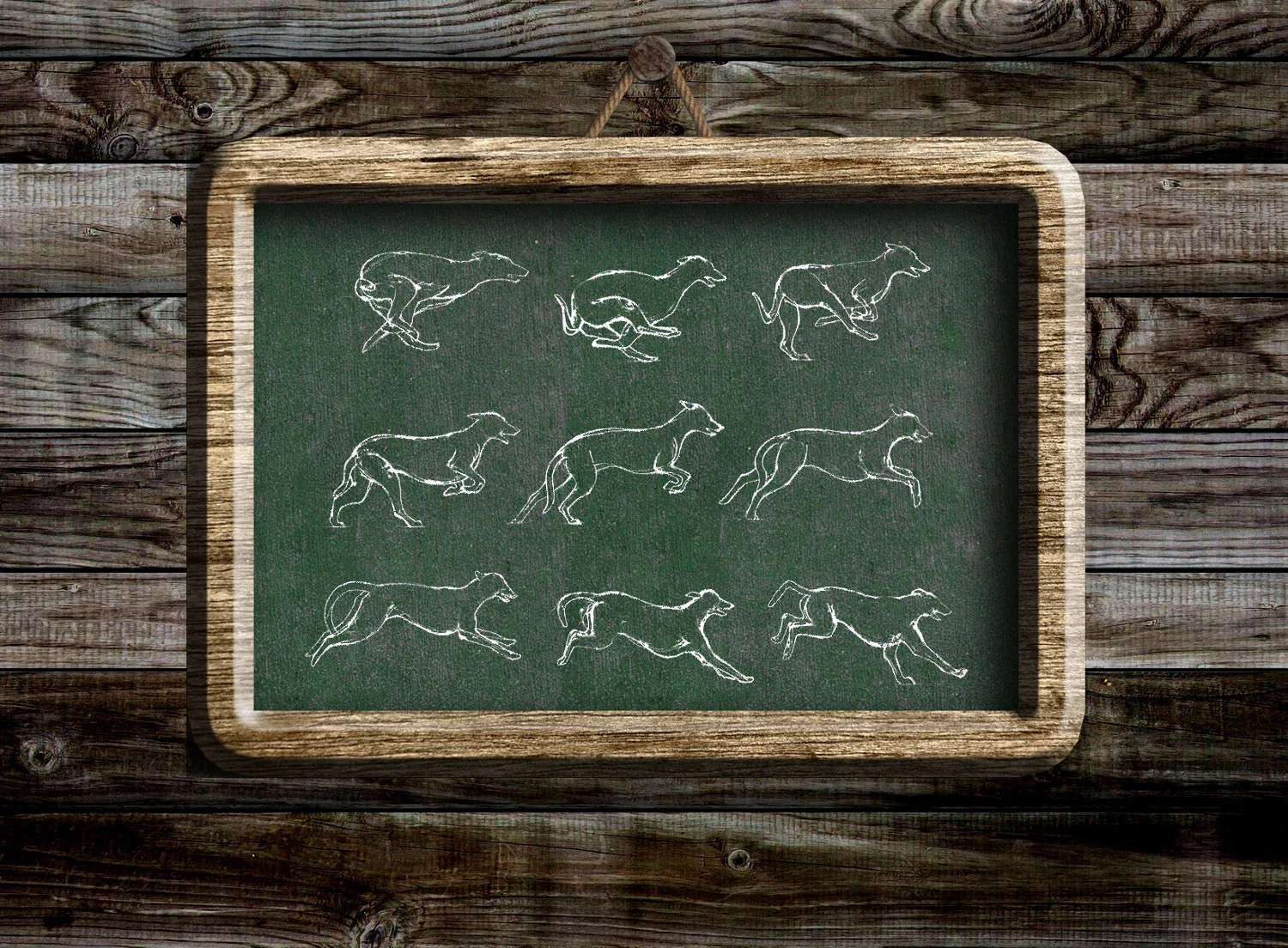 compressed 1500px - dogs running final.jpg