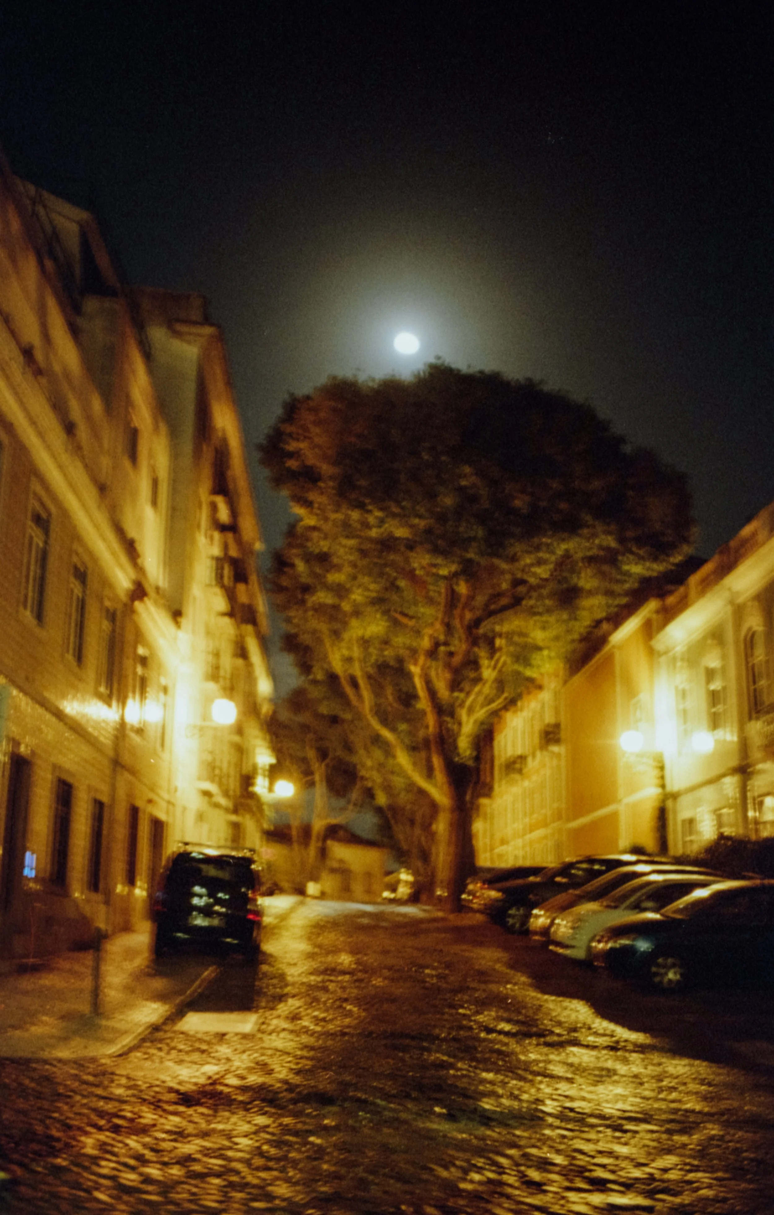 portugal film edits.jpg