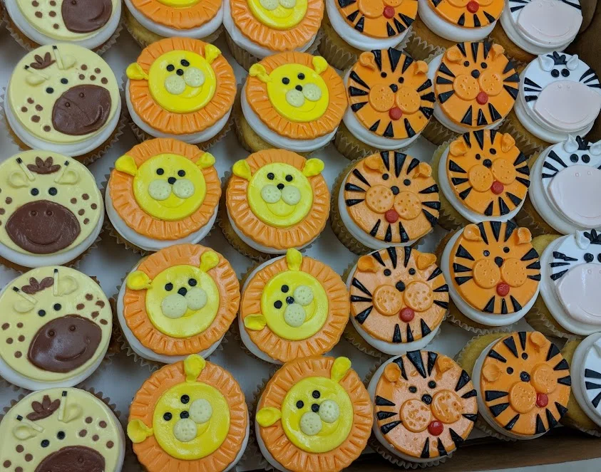 Gallery — Halo Cupcake