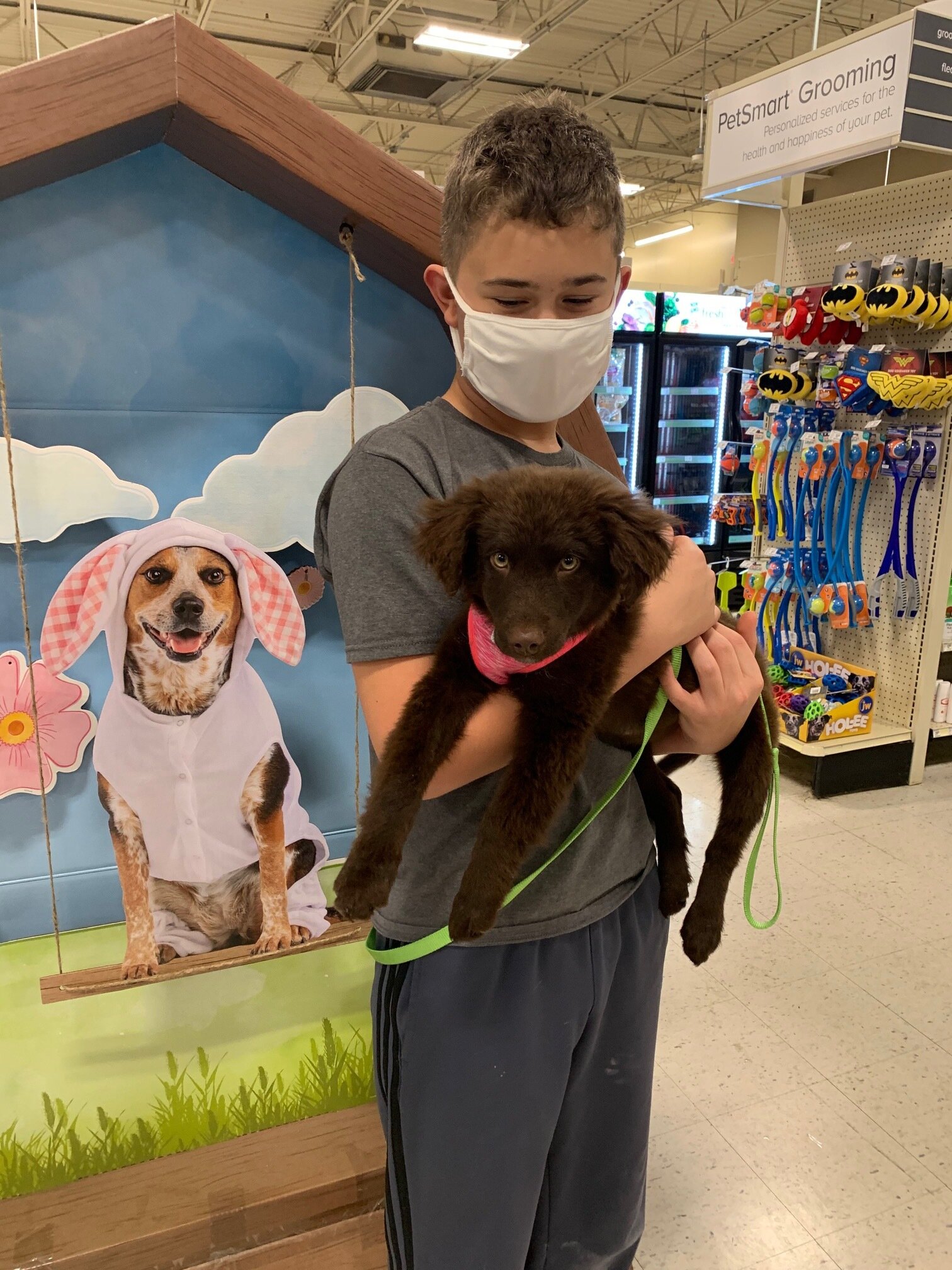 Cocoa Adopted.jpg