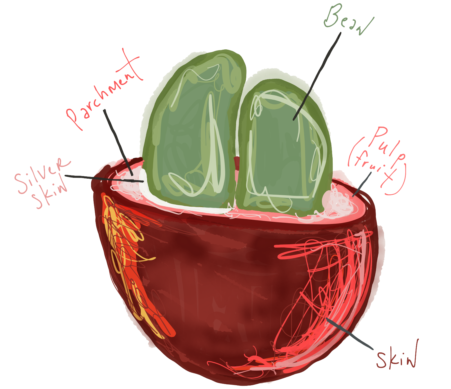 Cherry Breakdown.png