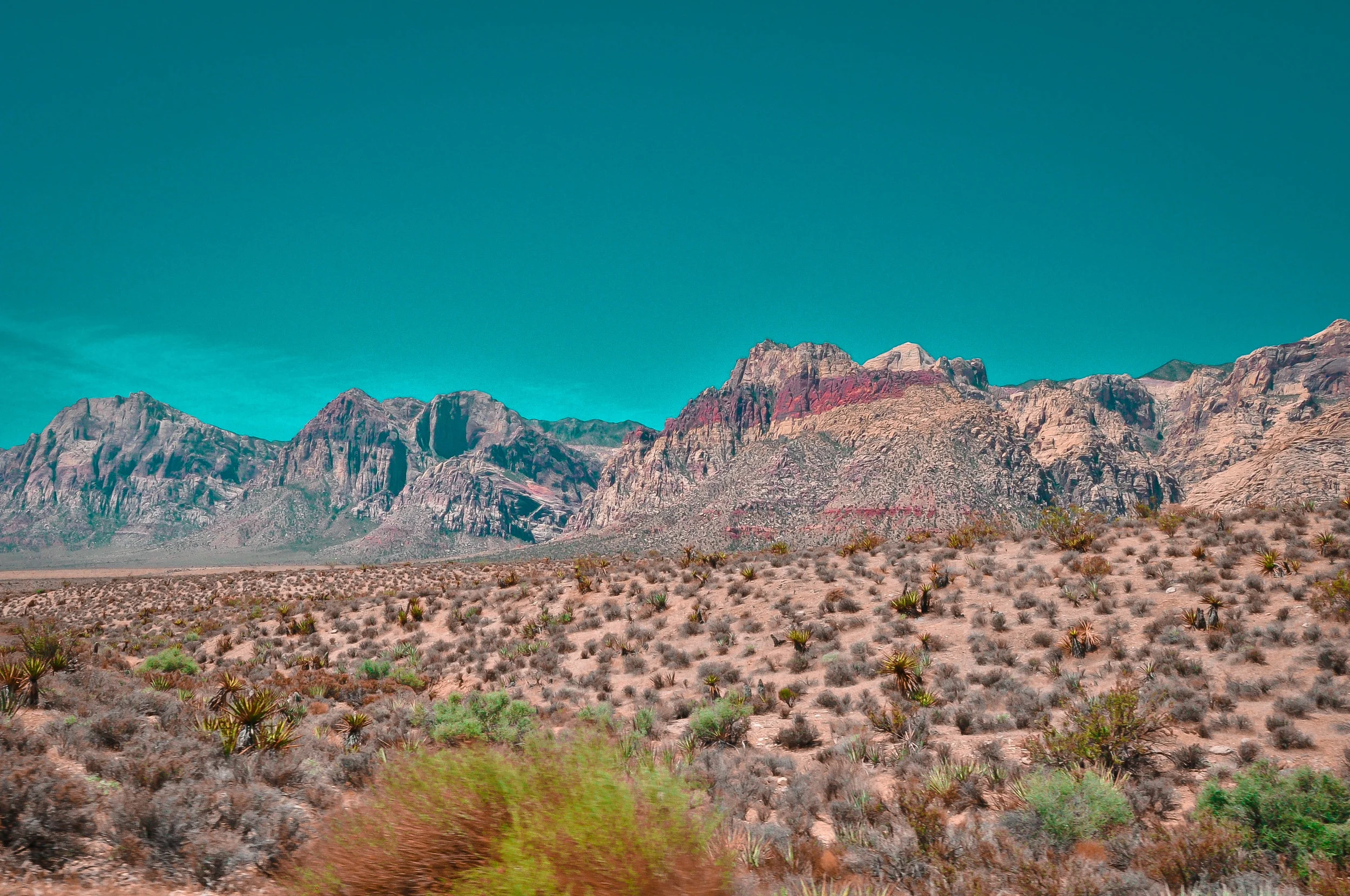 DSC_0035.jpg