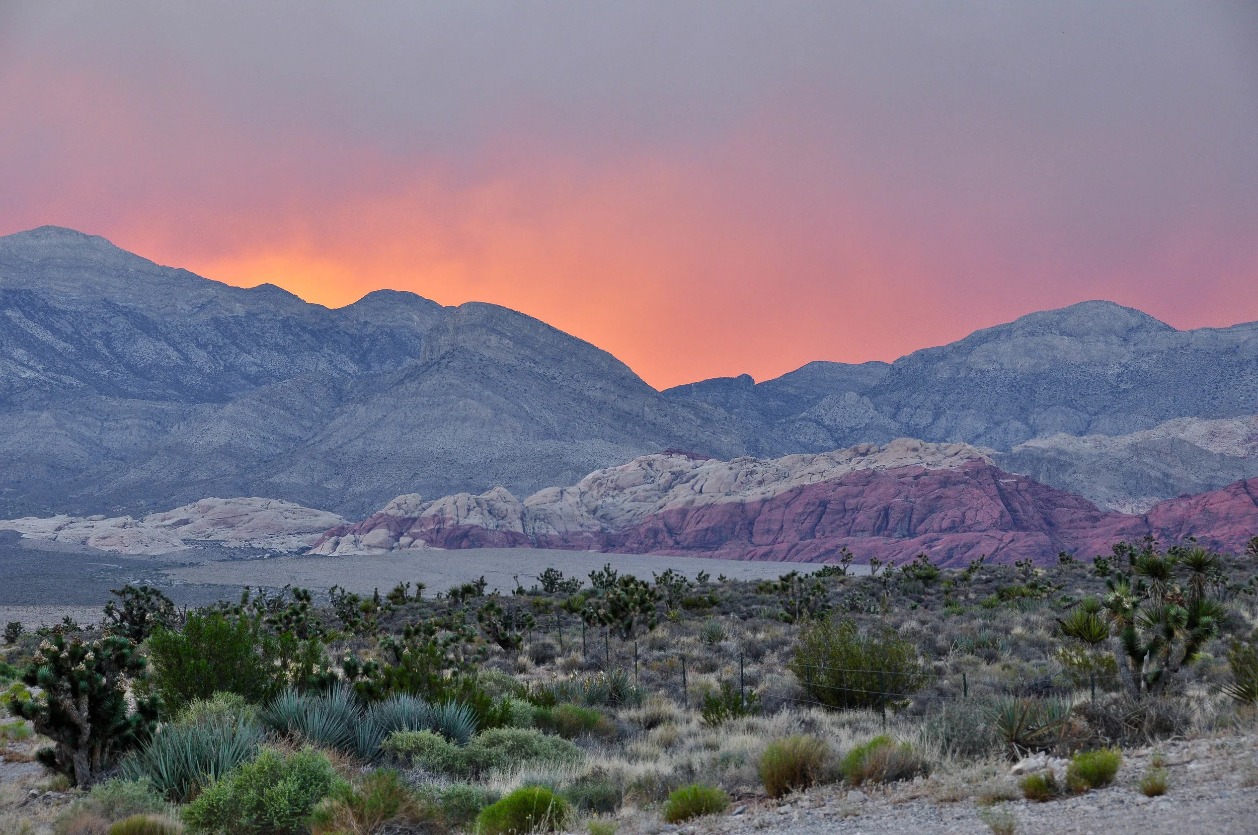 DSC_0611.jpg