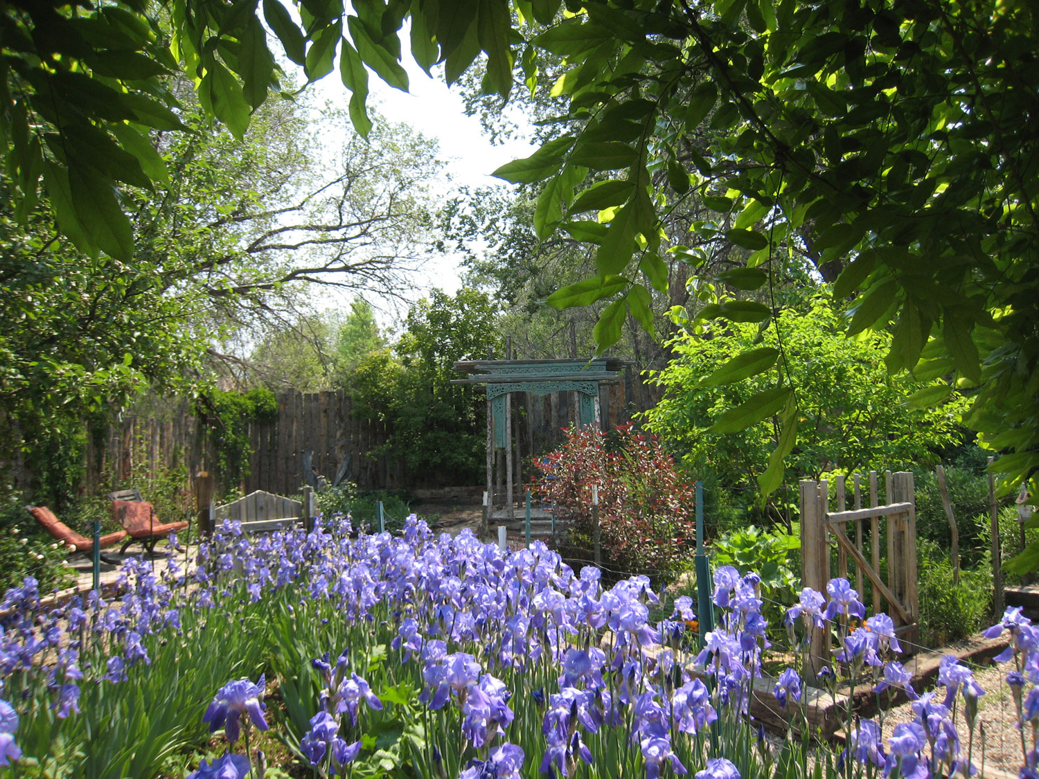 Garden of the B&B suite viewed from the portale