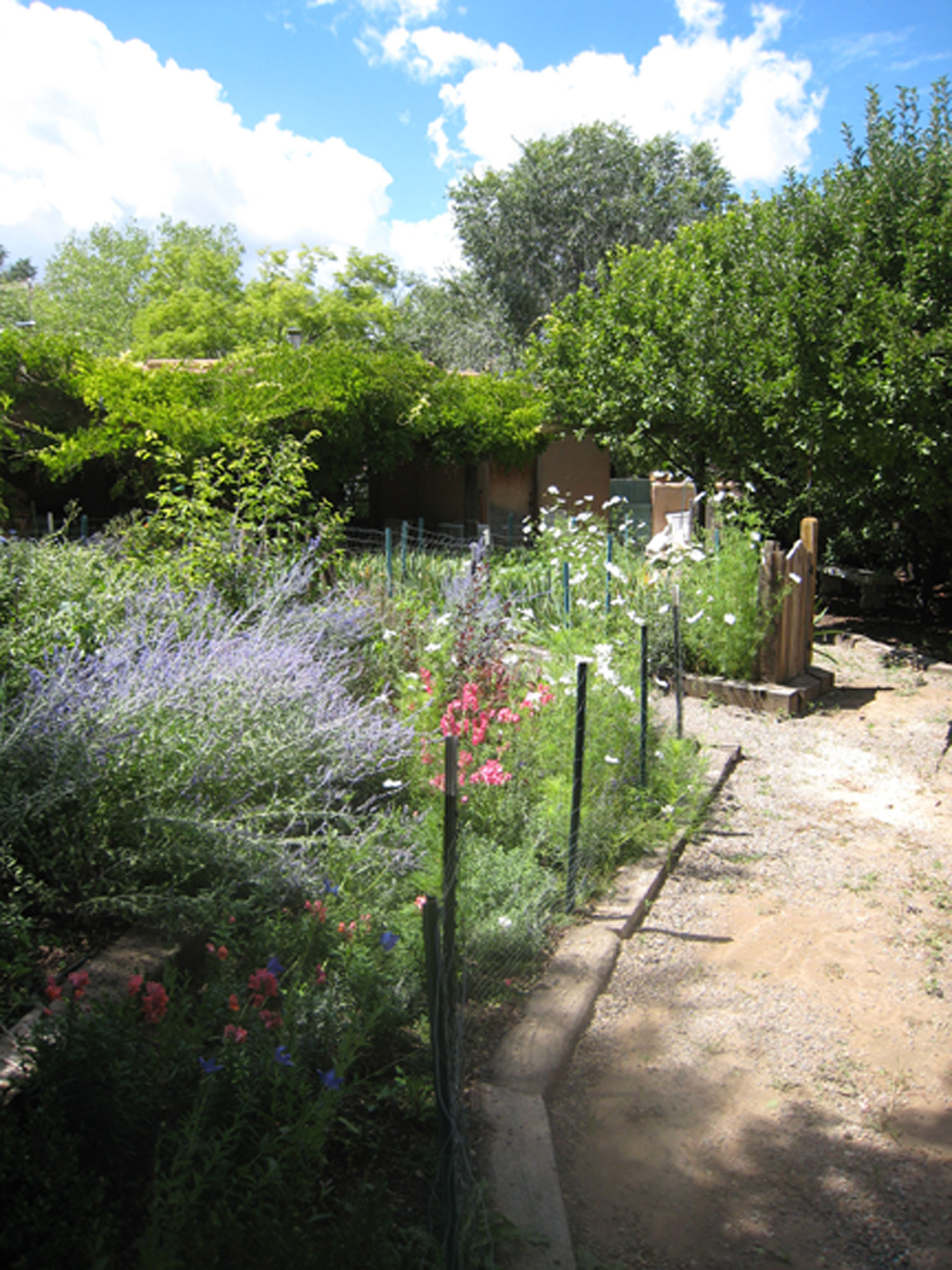 View of the B&B garden looking back at the house