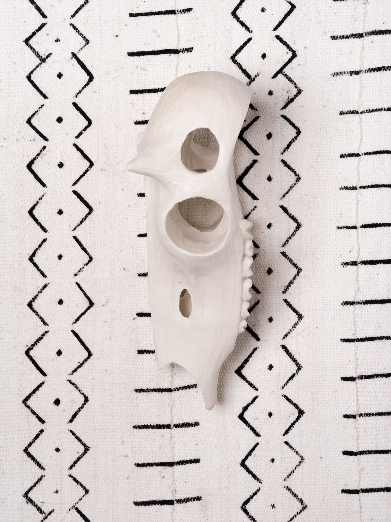 Ivory Deer Skull