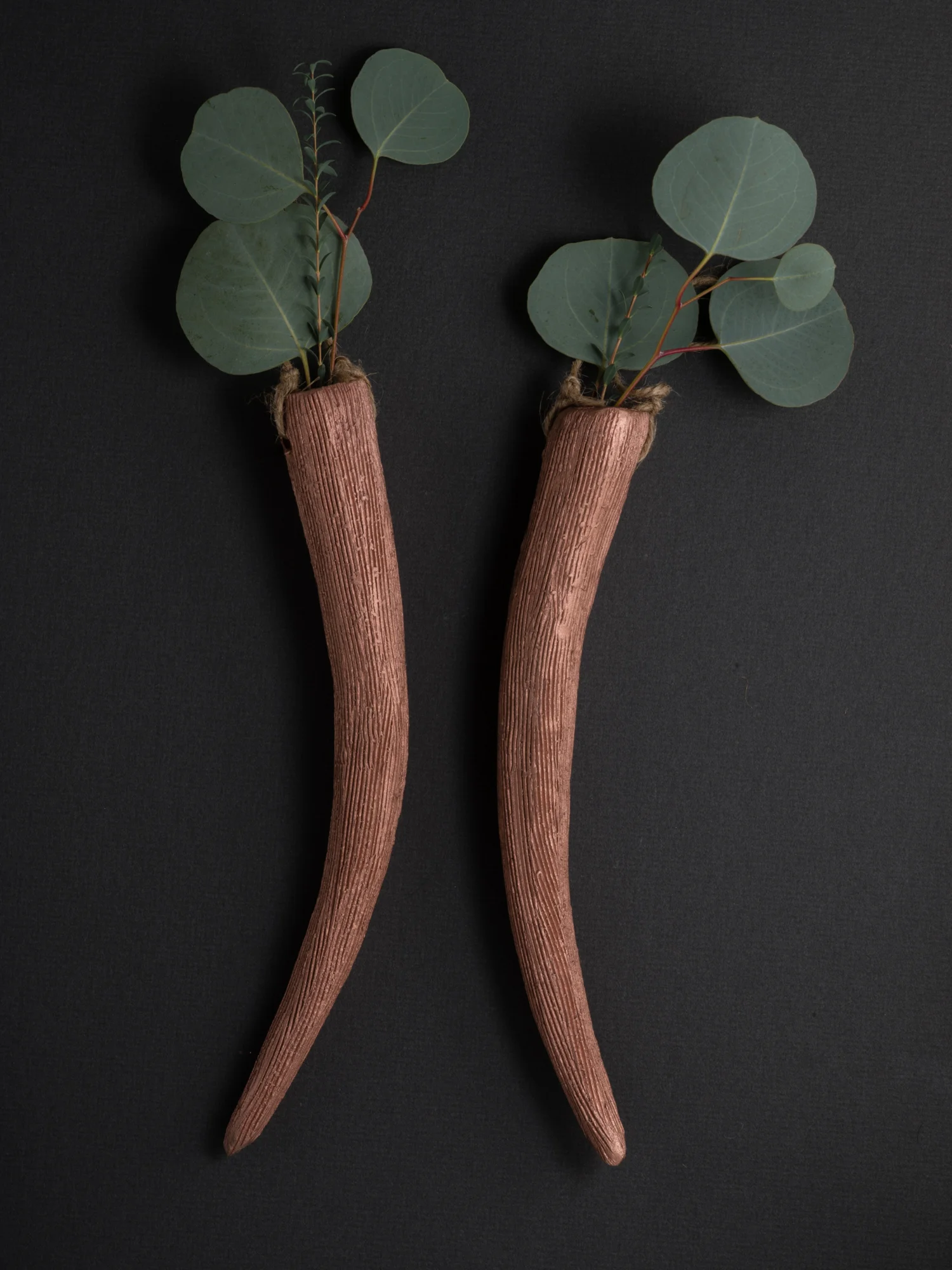 These abstracted antlers and horns are inspired by growing up in North Carolina, where I often stumbled upon shed deer antlers in the vast woods of the region. Each antler and horn is hand carved from clay, making them one of a kind. These hanging antler sets are designed to hang and hold flowers or air plants. You can buy the set or a single antler, these beautiful and unique pieces add a rustic touch to any home, becoming the center piece of any room. If you don't see a color or size you like, I can make custom sculptures tailored specifically to your aesthetic. 