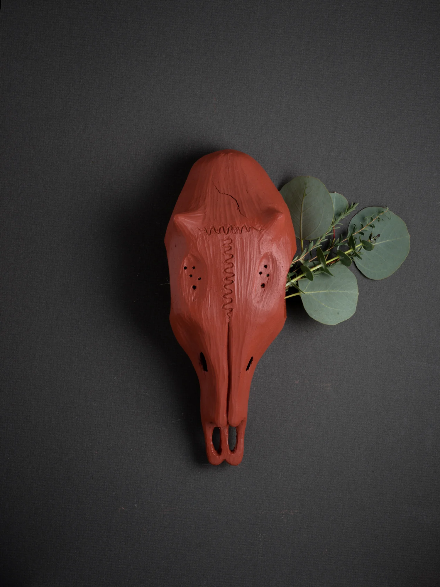 Red Deer Skull