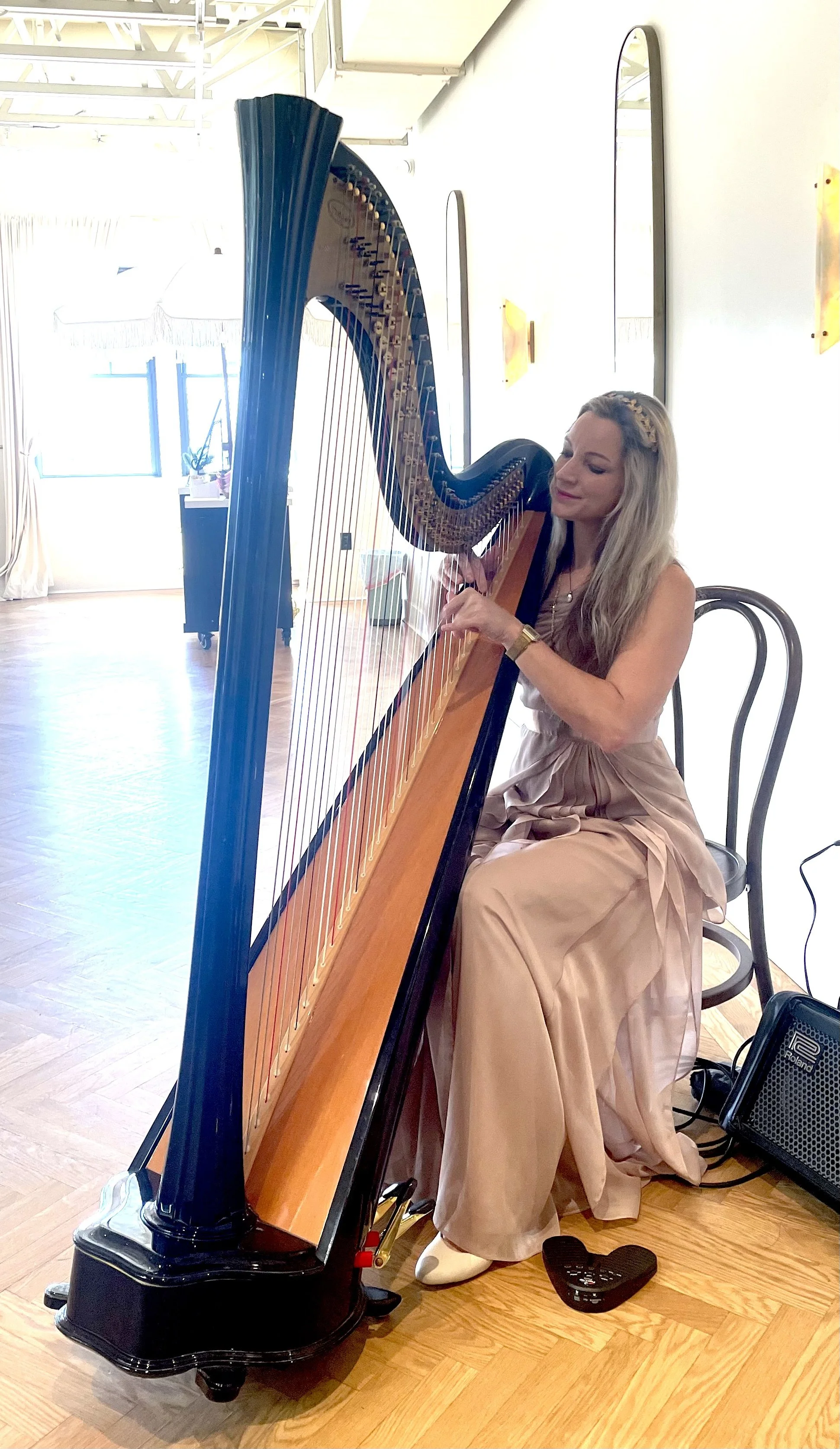 How Much Does a Chicago Harpist Cost? A Guide to Wedding &amp; Event Music Pricing