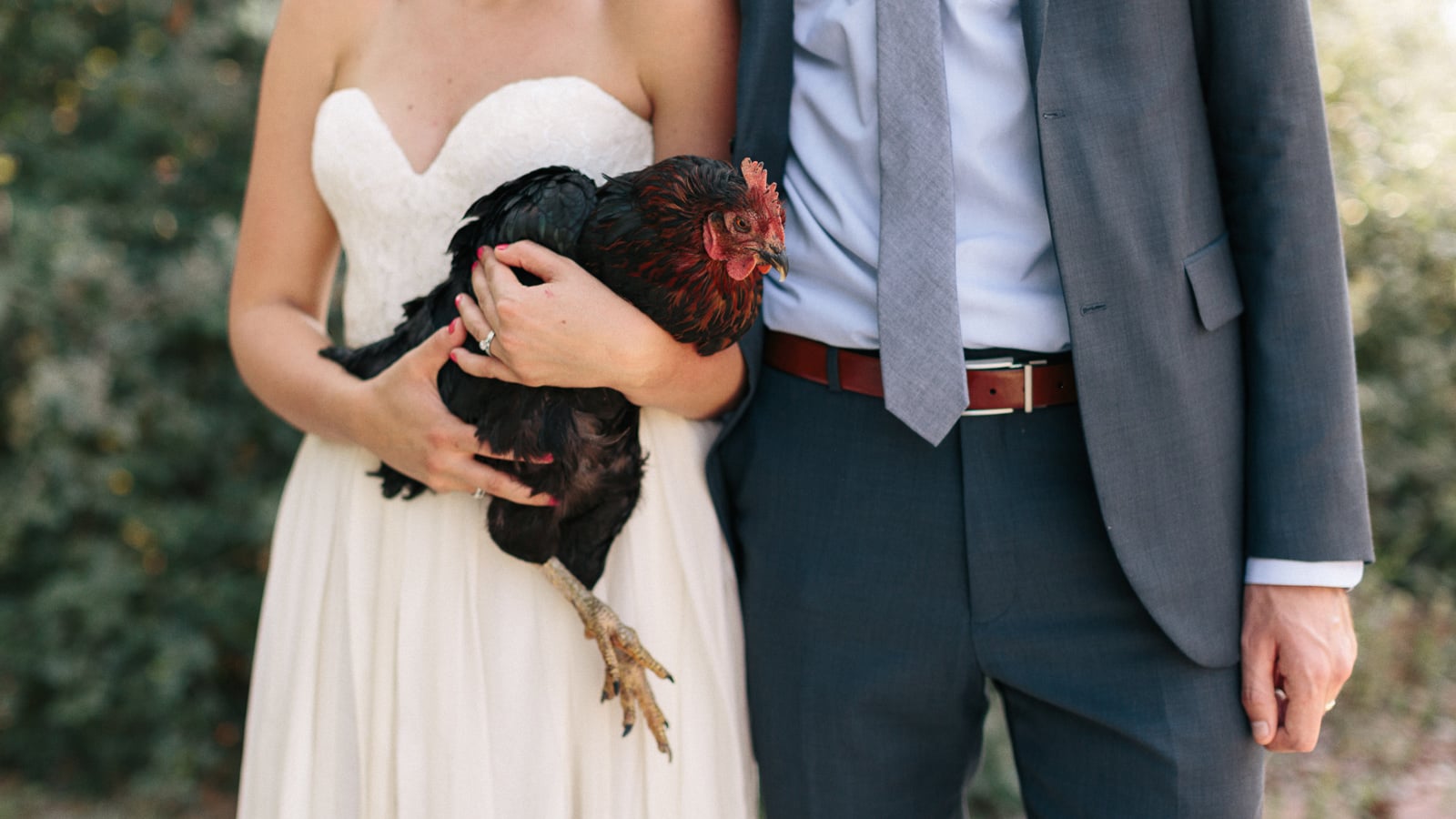 049-lyons-farmette-bride-and-groom-with-chicken-wedding-photographer.jpg