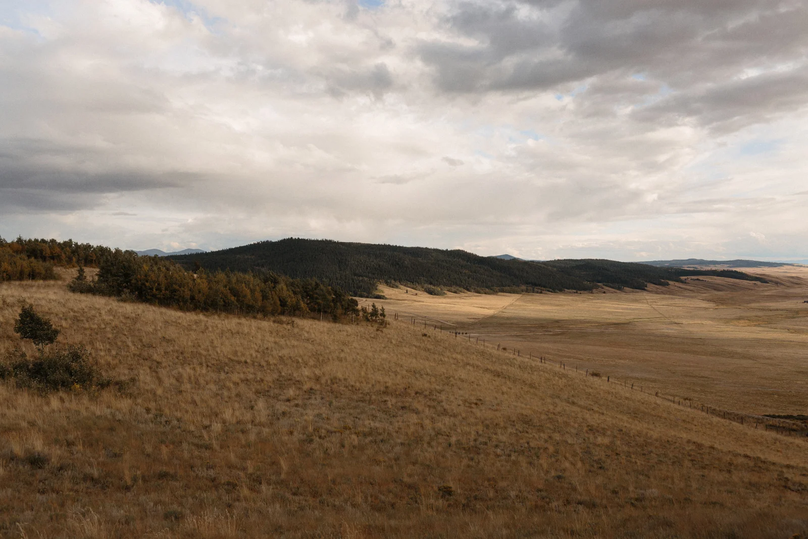 Jefferson-Colorado-Wedding-Photographer-Candice-and-TJ-2.jpg