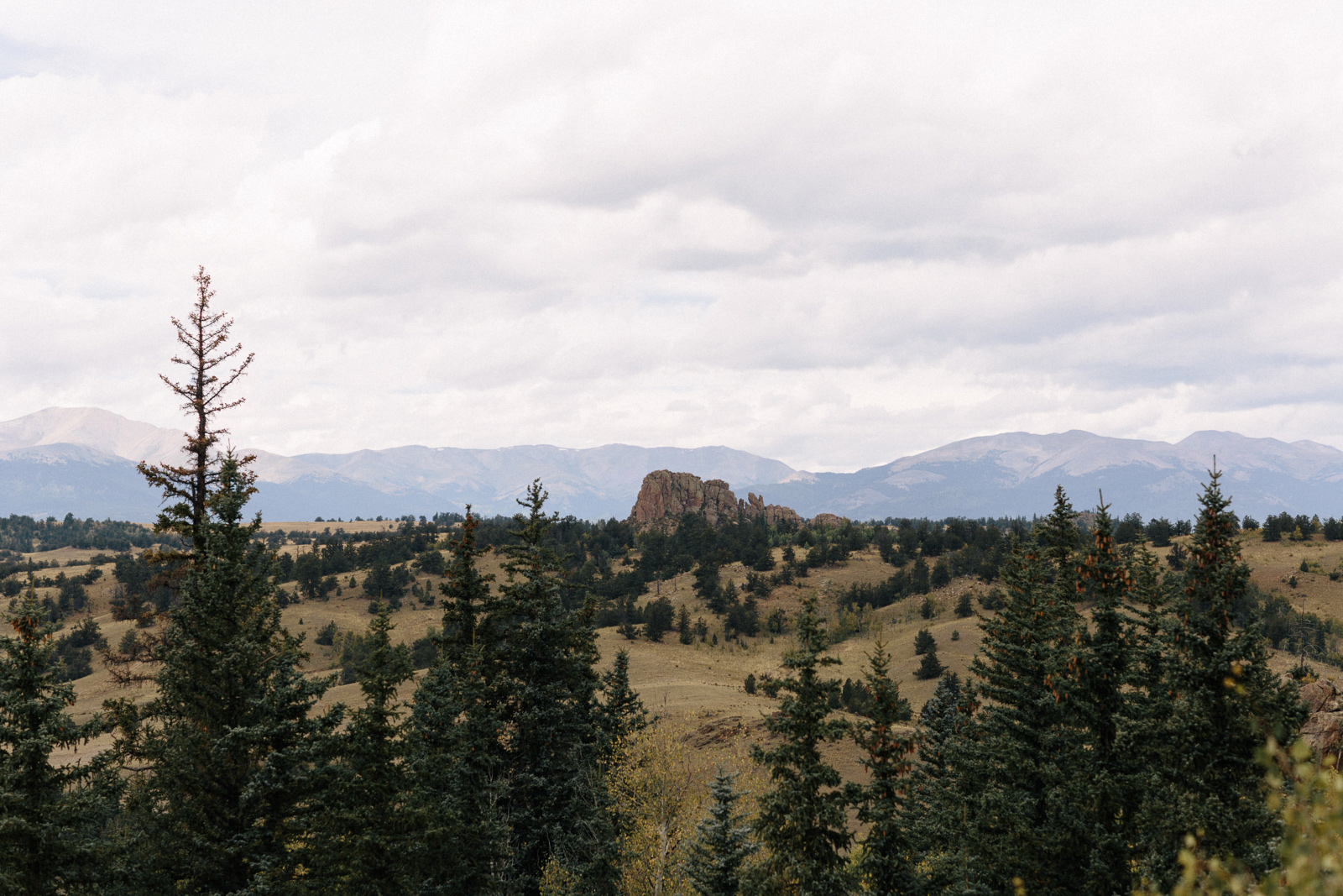 Jefferson-Colorado-Wedding-Photographer-Candice-and-TJ-33.jpg