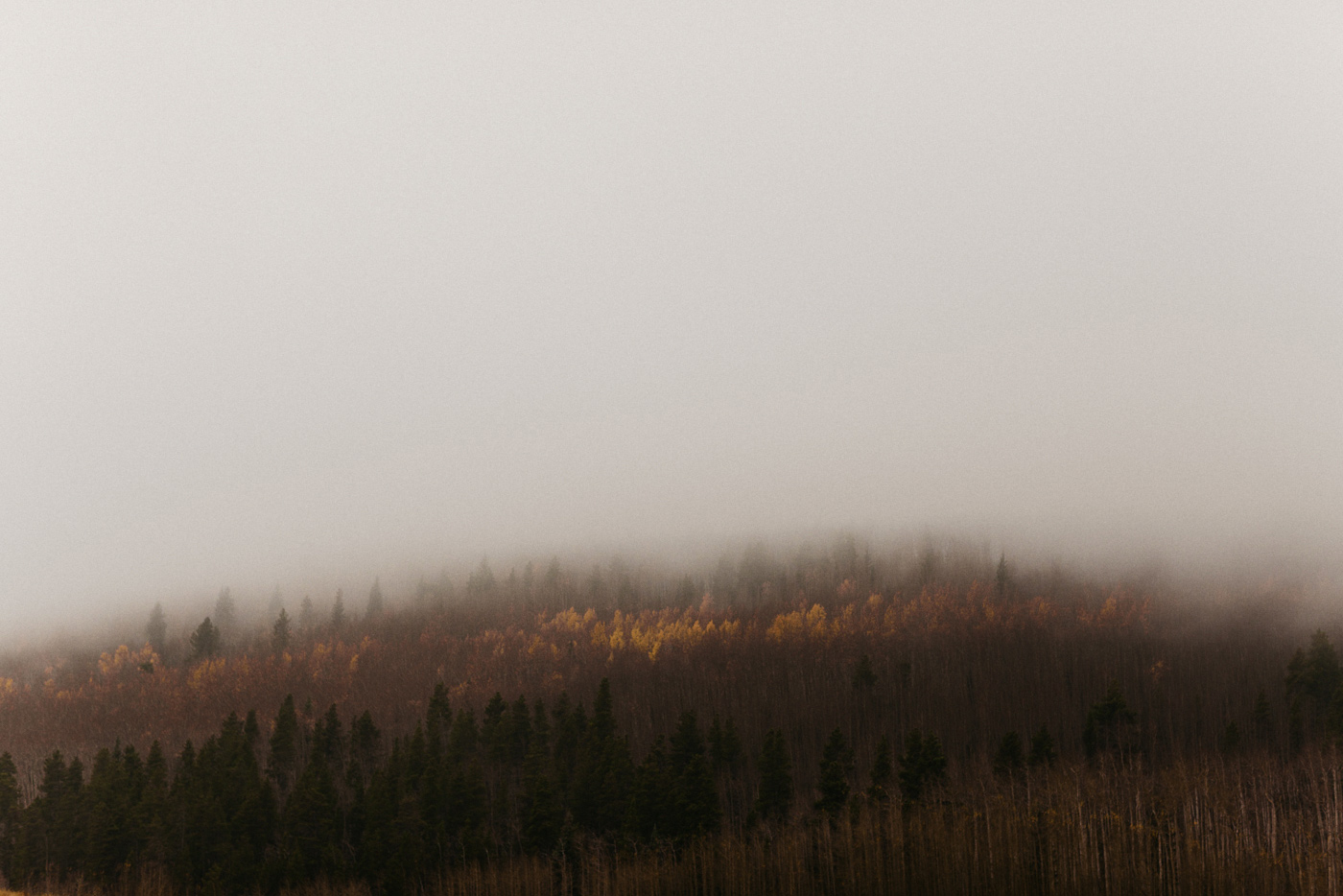 099-kenosha-pass-fog-aspens.jpg