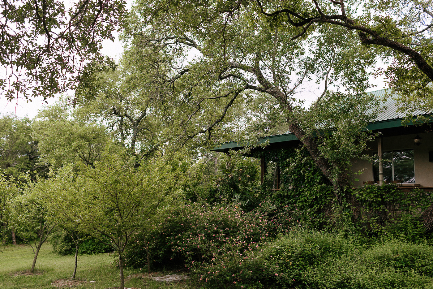 Wimberley Texas House and Peach Orchard