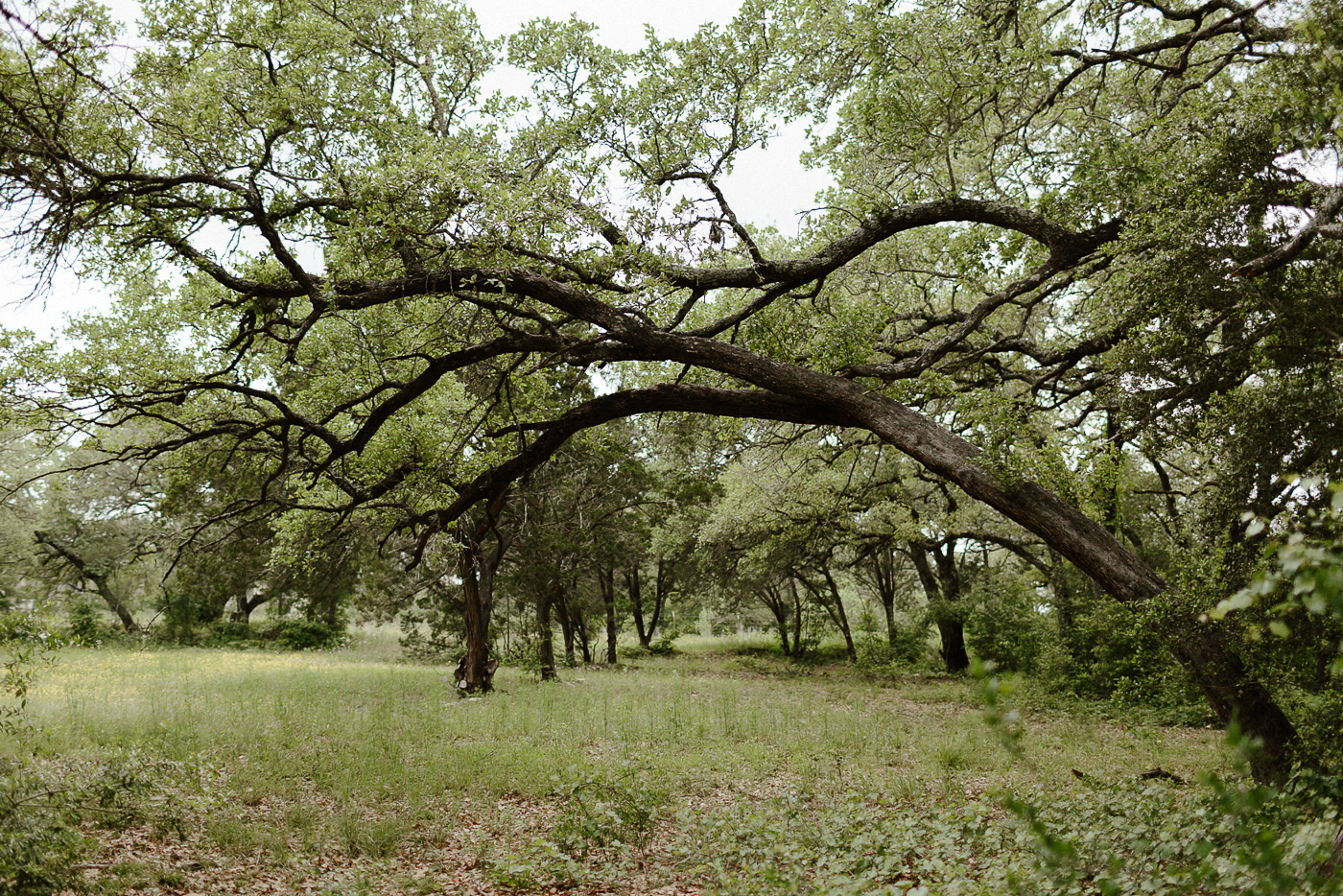 Wimberley Texas Wedding Photographer Intimate Backyard Wedding