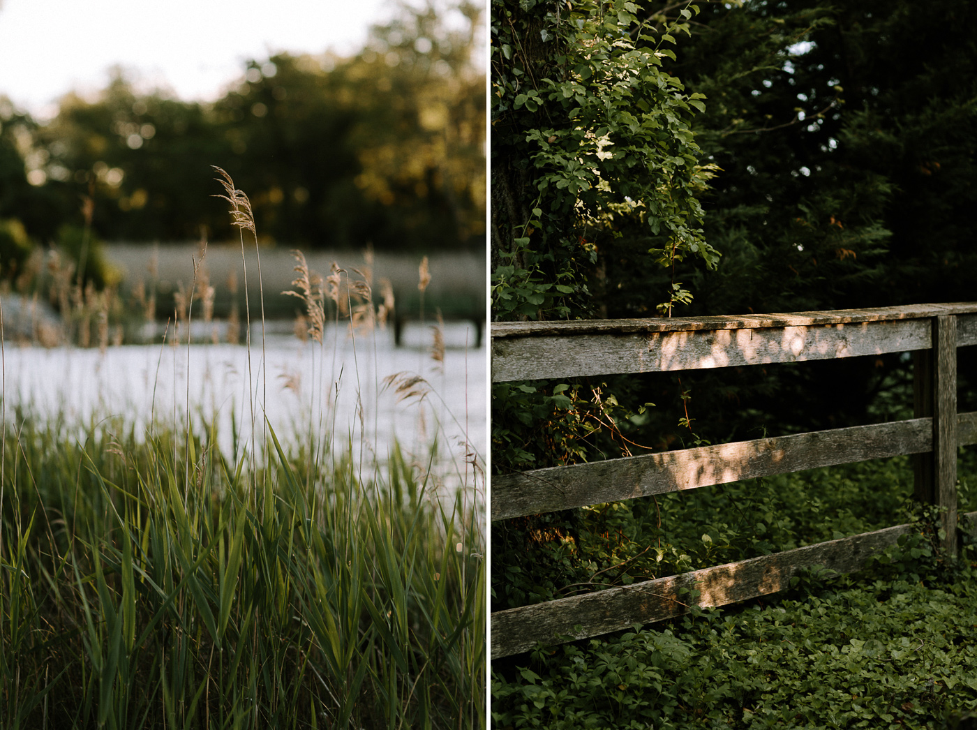 Backyard Wedding Natural Details