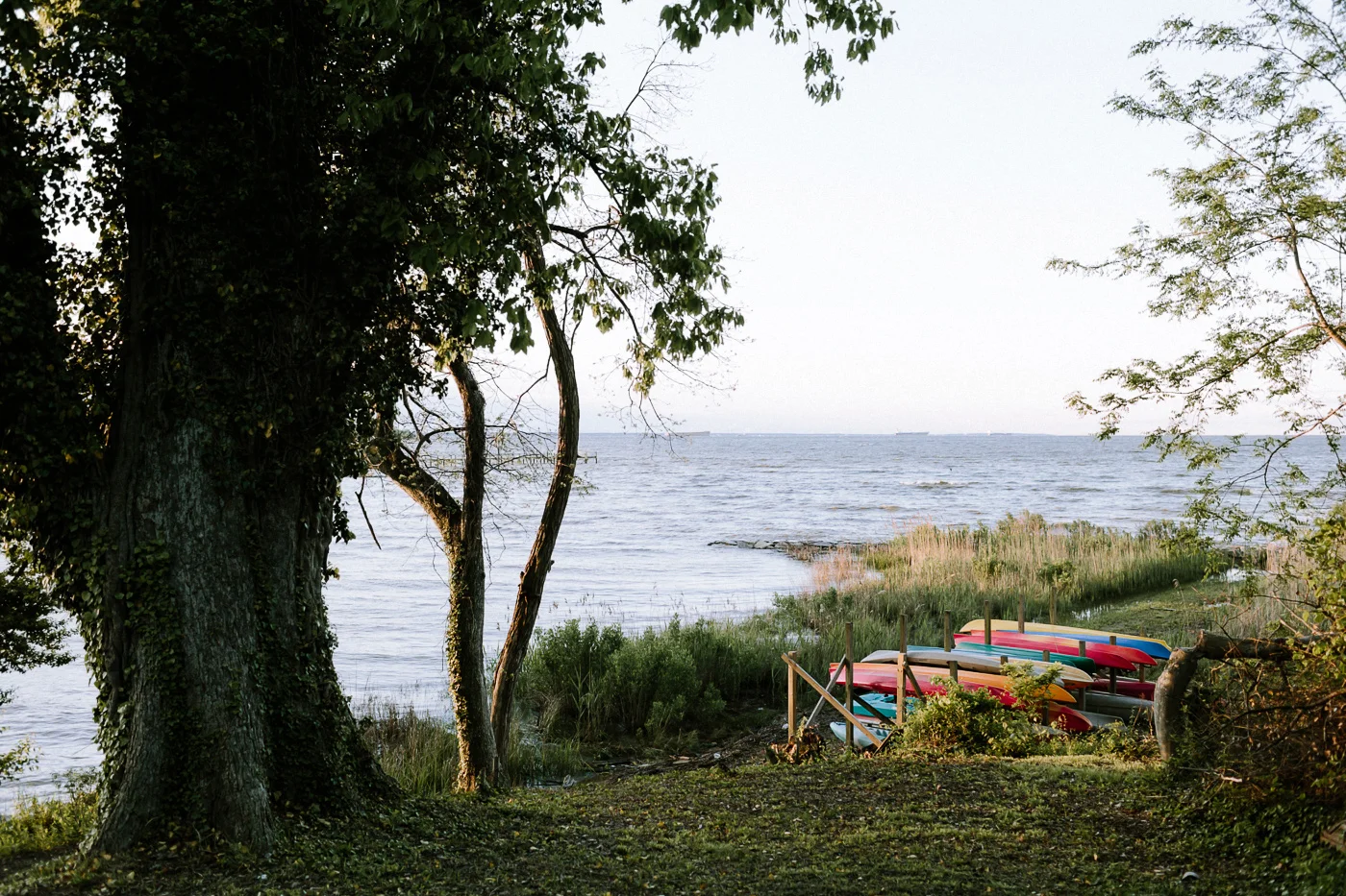 Annapolis Maryland Backyard Wedding Bay