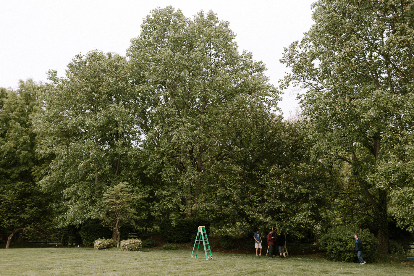 Backyard Wedding Setup