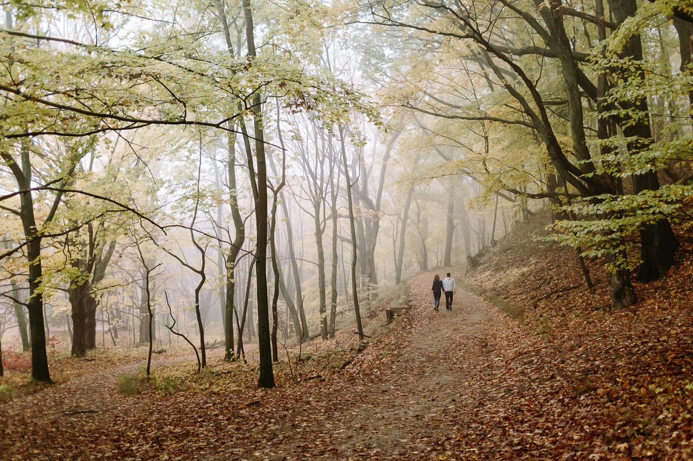 Saugatuck Dunes State Park Photographer