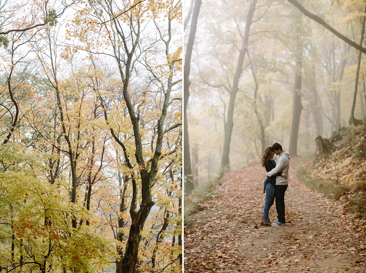 Foggy forest trees leaves with couple on path