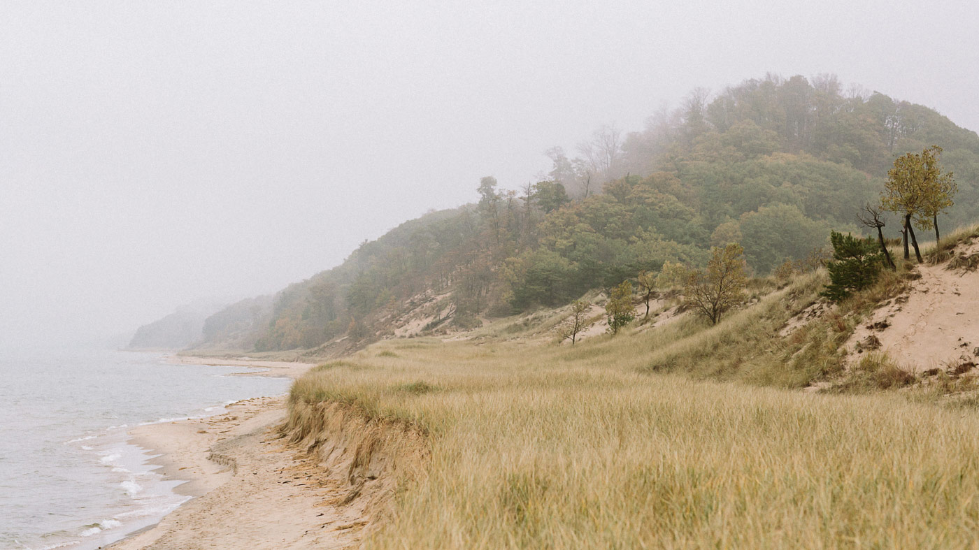 Saugatuck Dunes State Park landscape