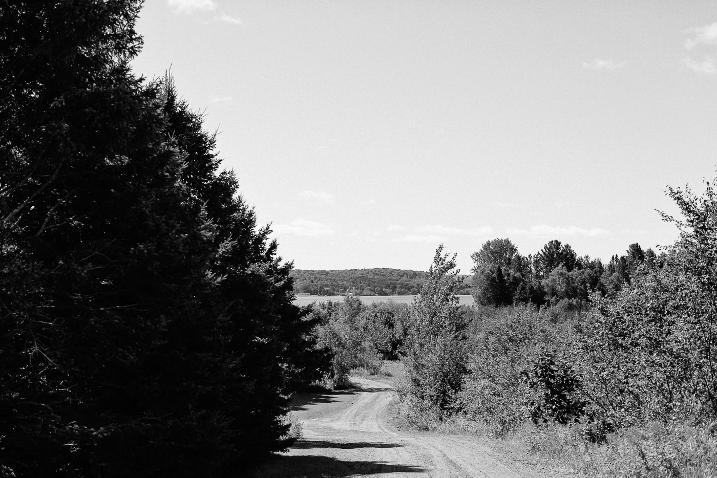 Houghton-Michigan-Wedding-Photographer-16.jpg