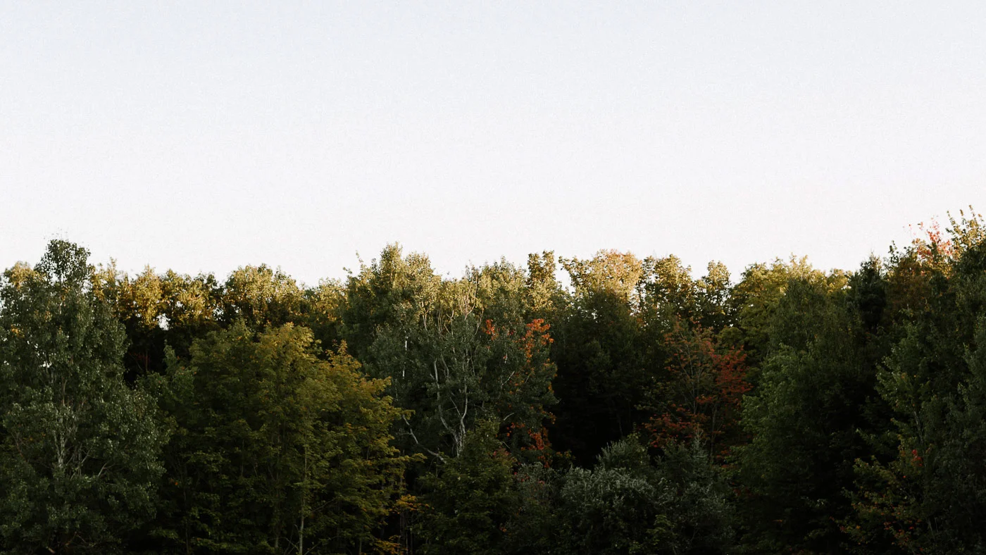 Houghton-Michigan-Wedding-Photographer-56.jpg