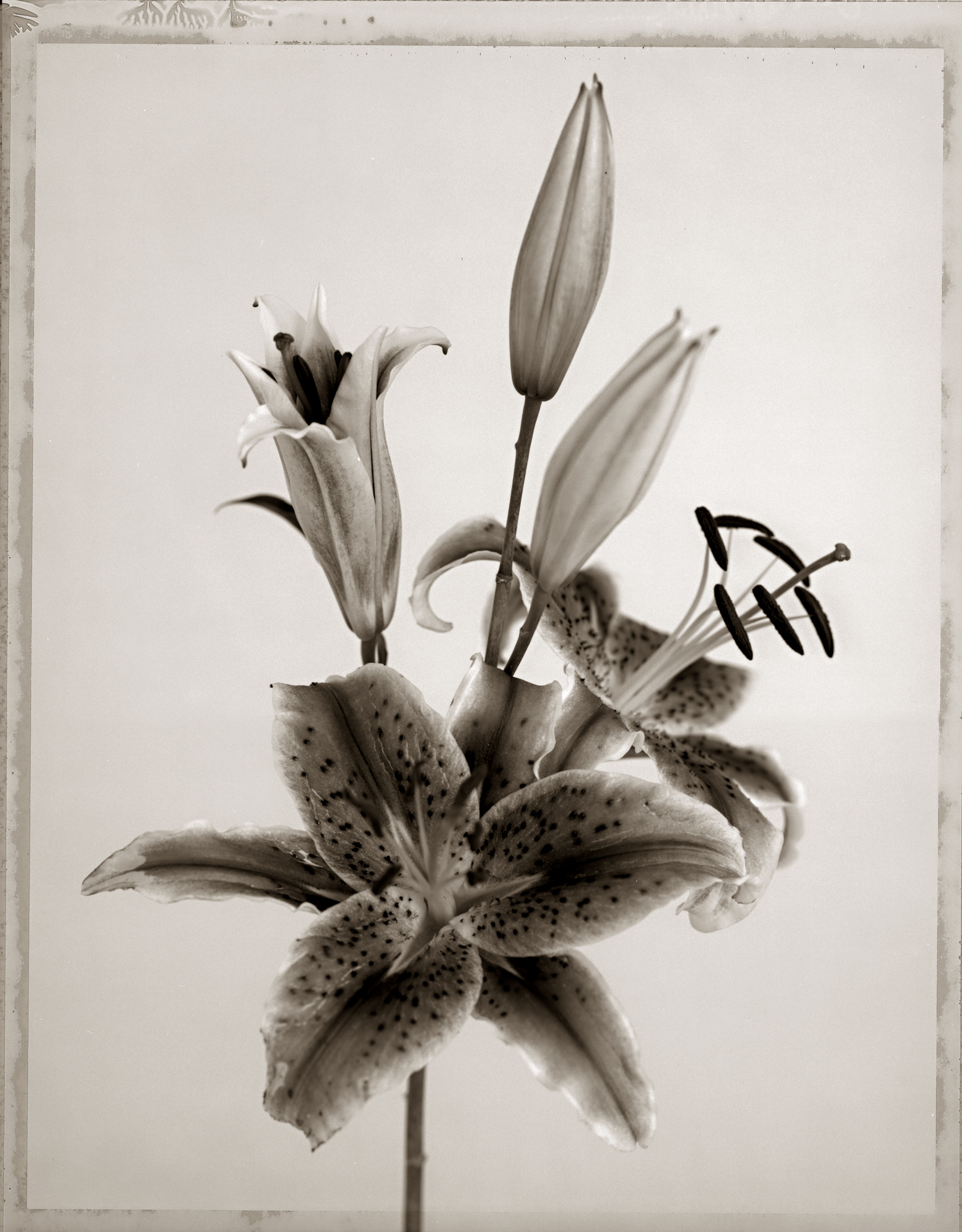 Untitled-17.jpg