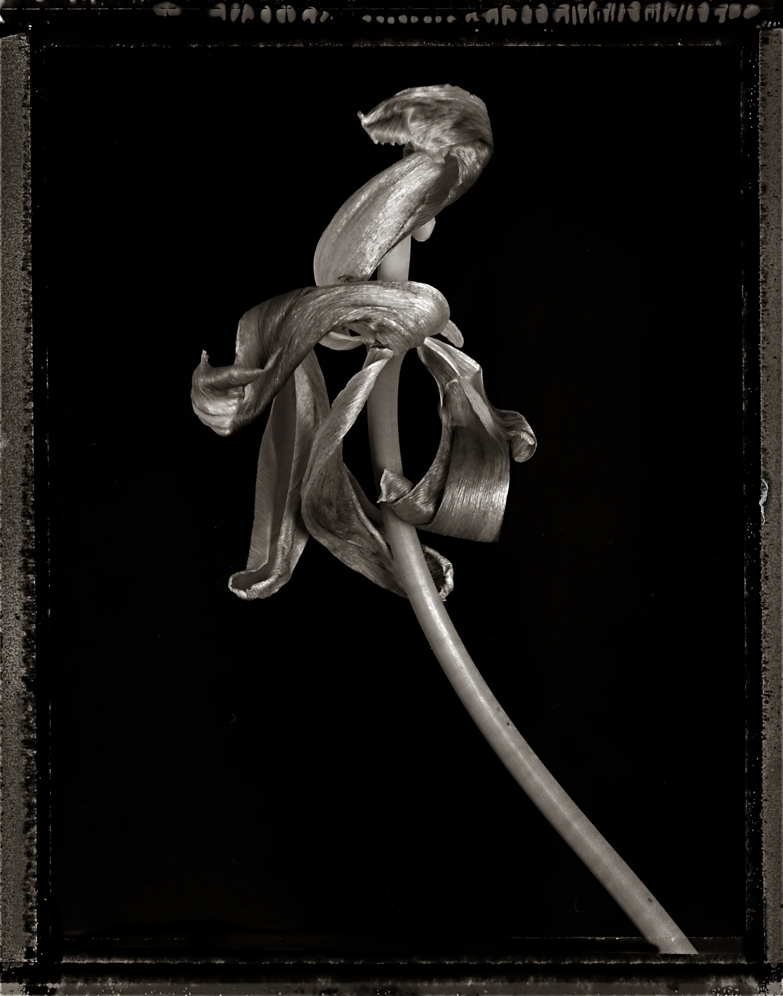 Untitled-8.jpg
