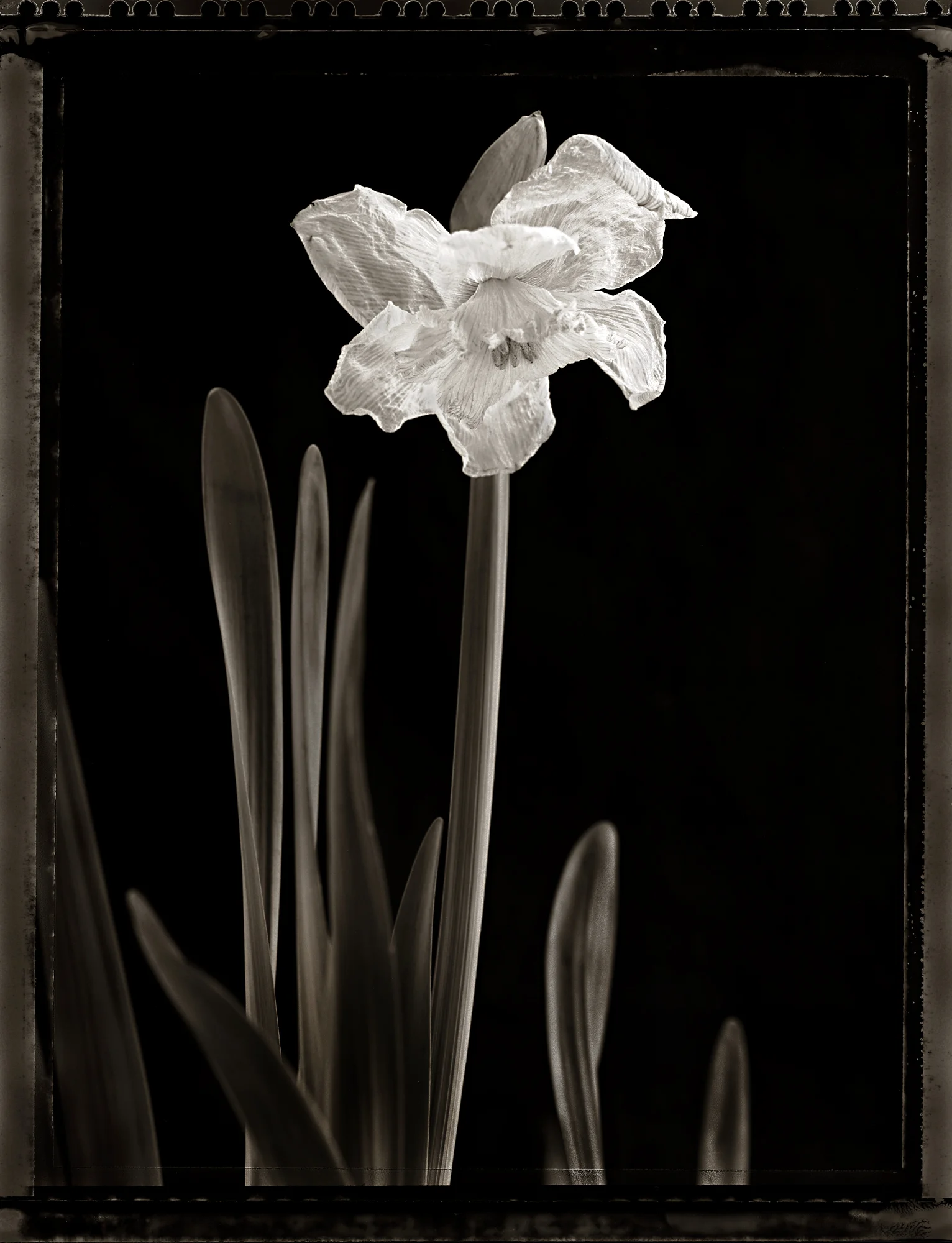 New Scan Test 1-2.jpg