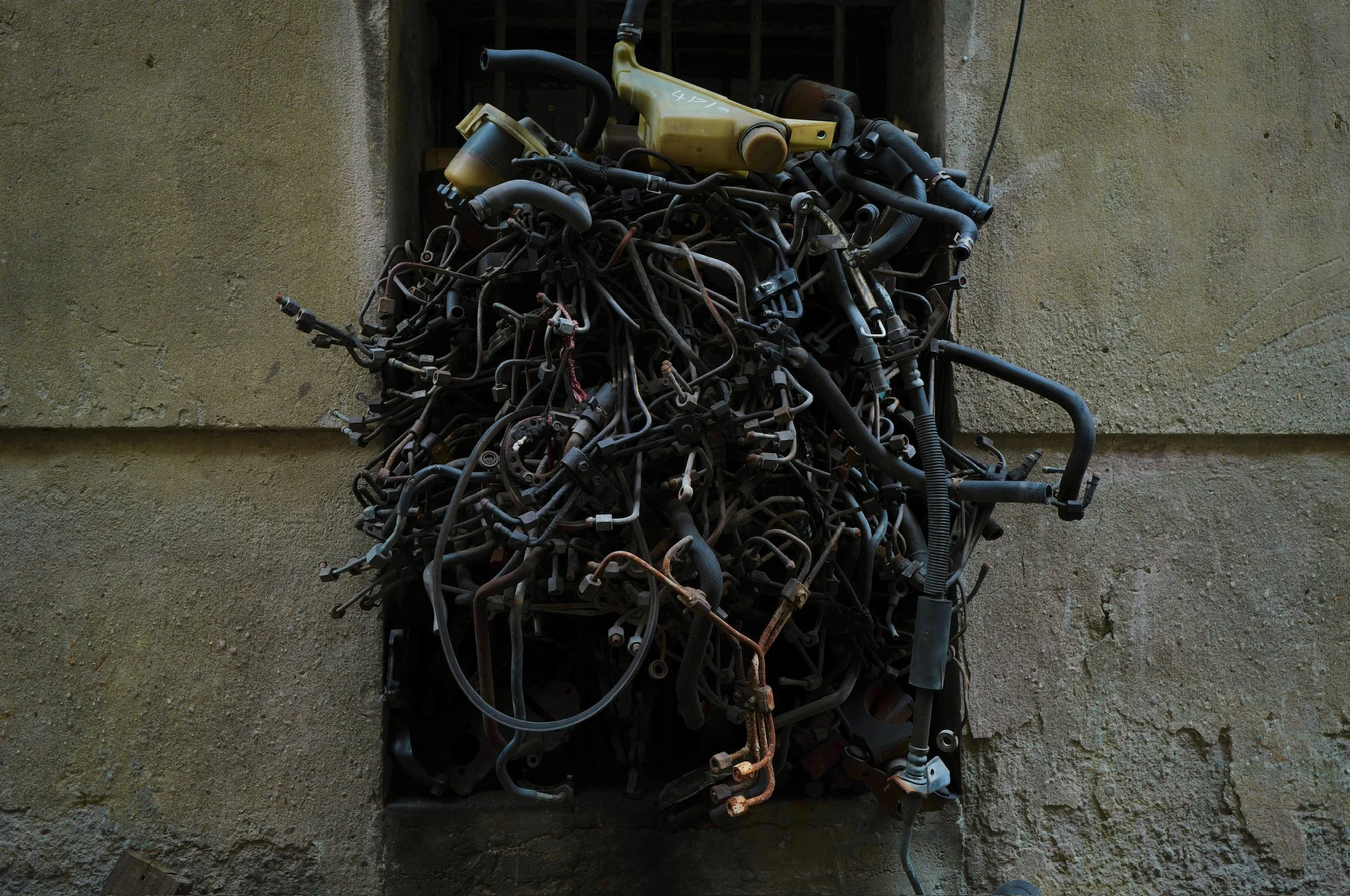 DO01013545.JPG