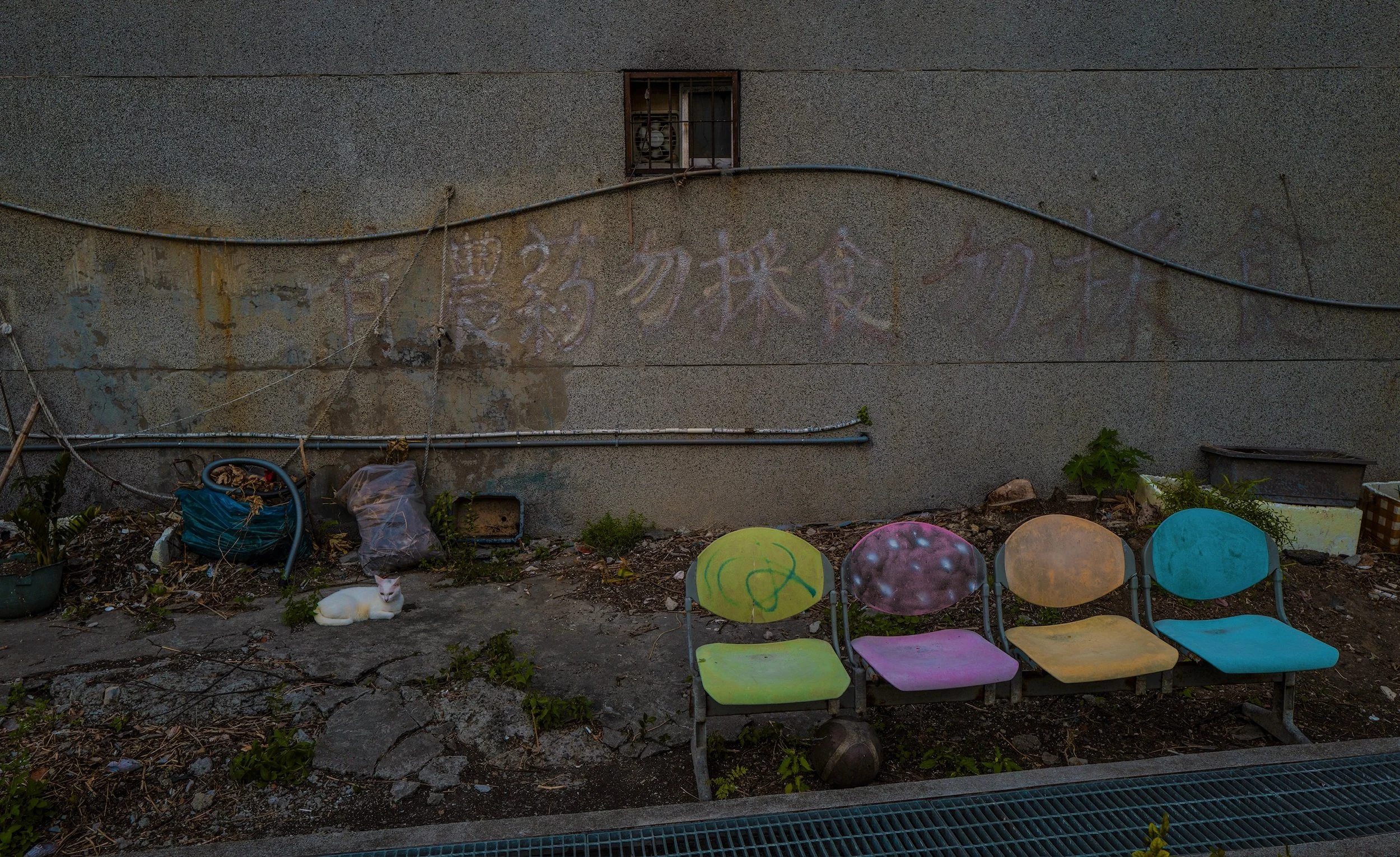 7717742C-582A-4831-8636-9660C569CCCA.jpeg
