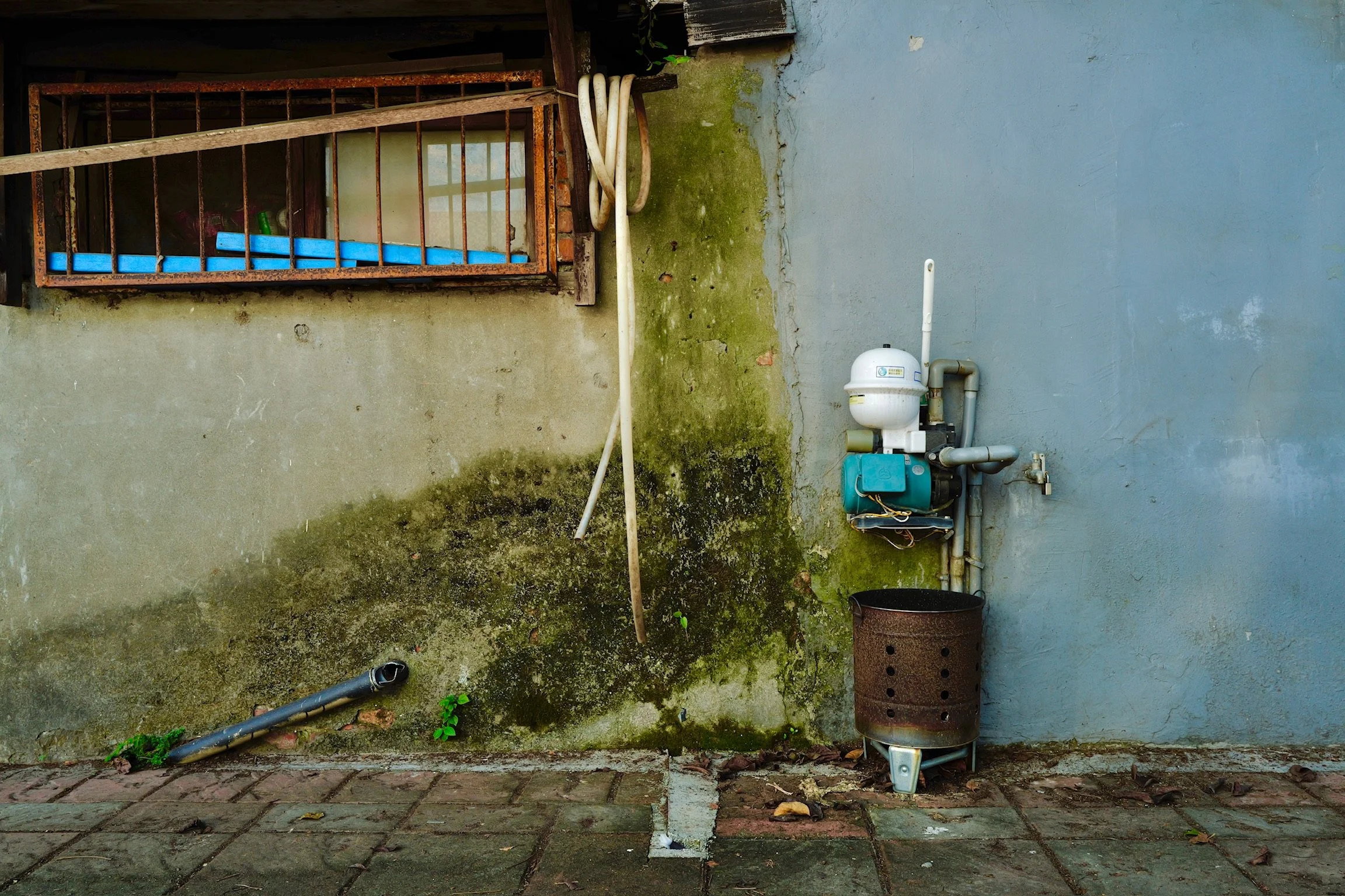 L1010029.JPG