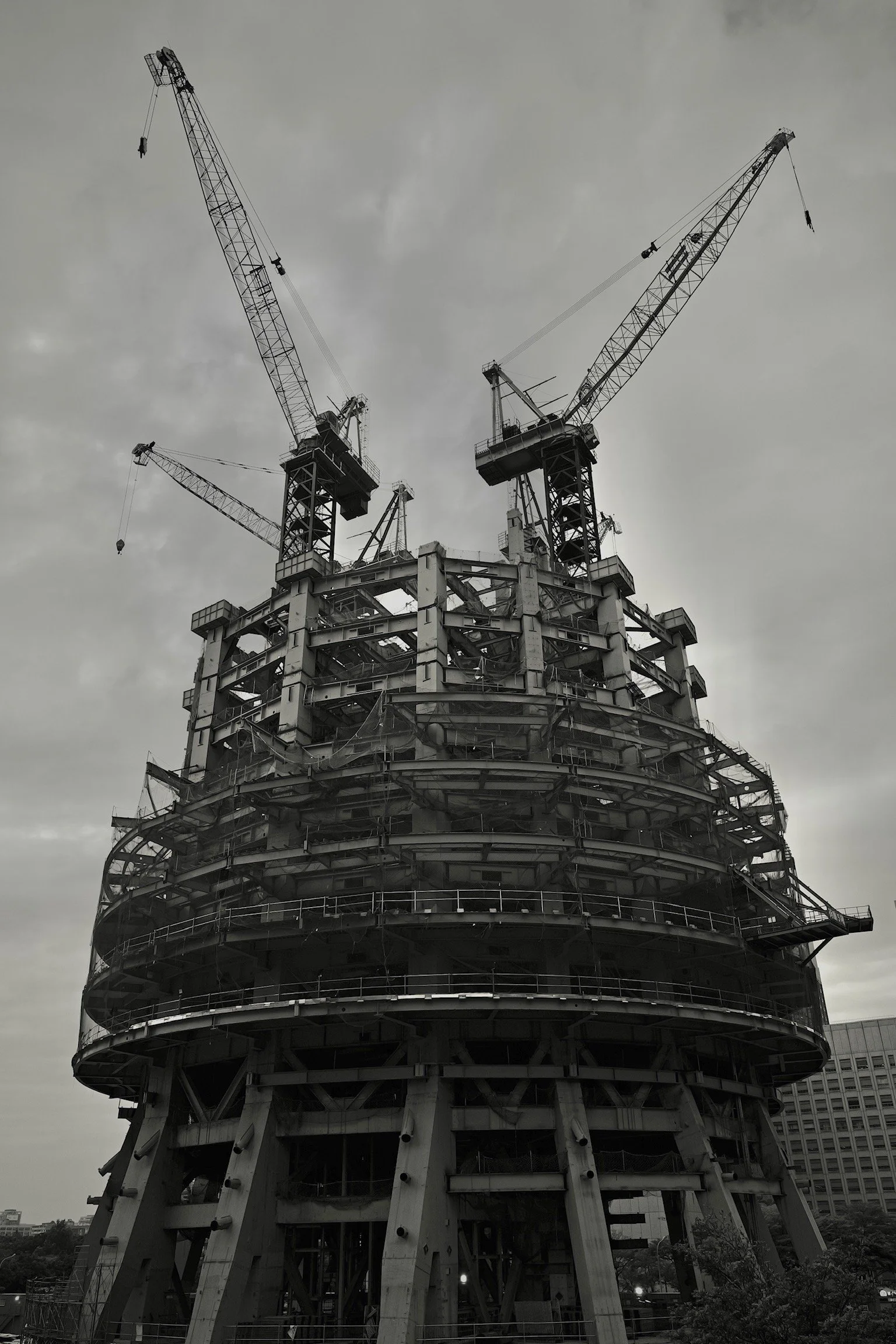 L1010280.JPG