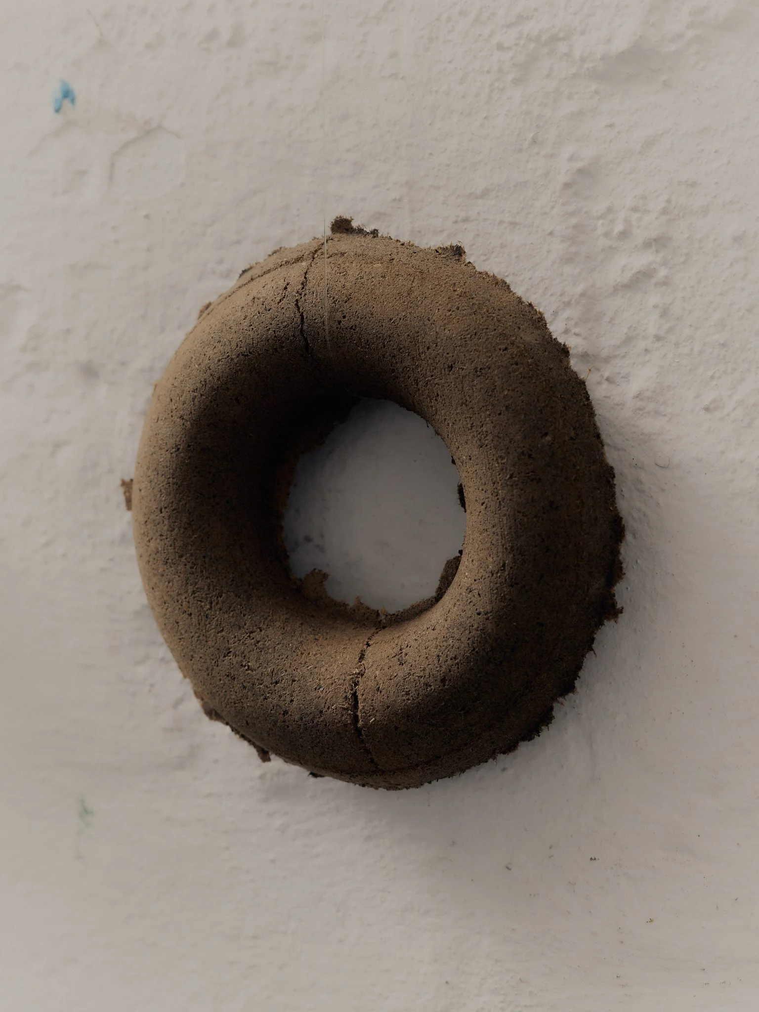 Dust Doughnut in Walnut