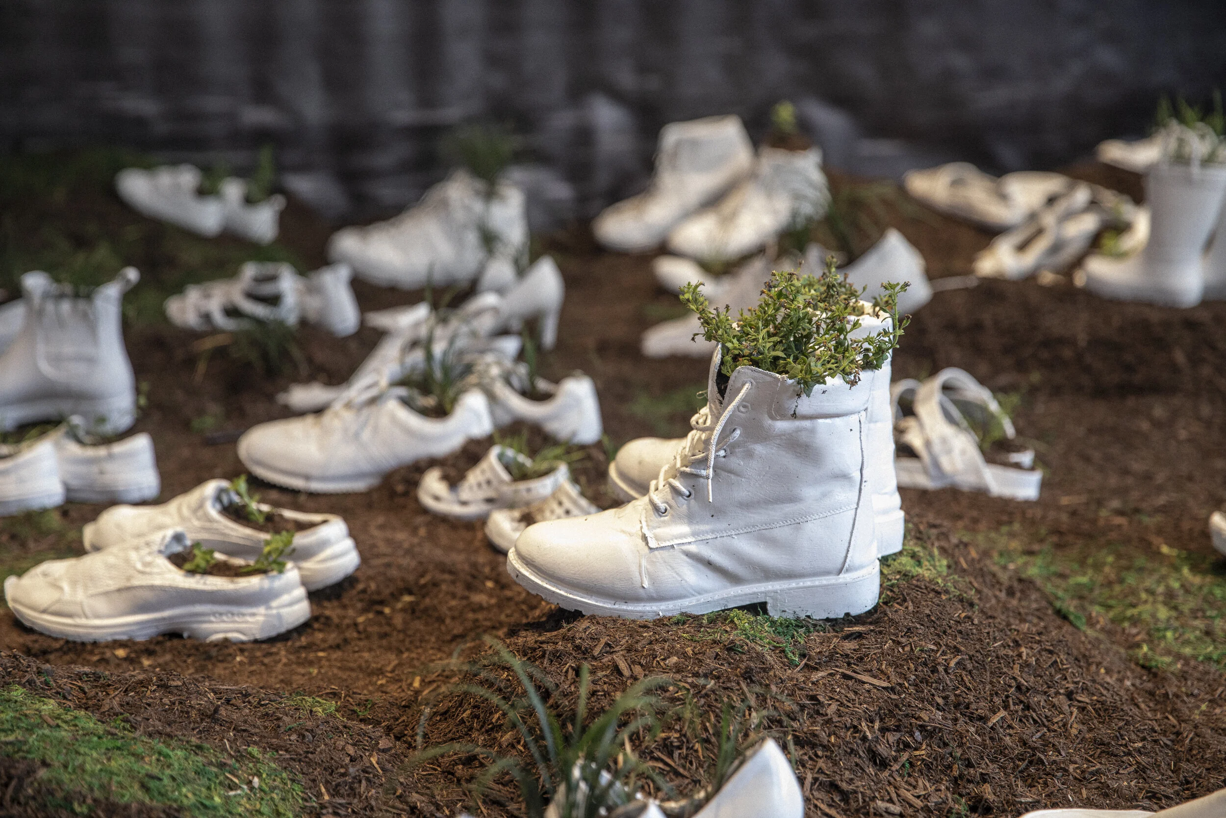 Reclamation Jake Hagopian.JPG