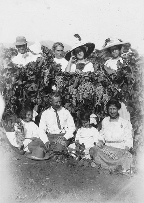 Armenian+Farmers%2C+Yettem.png?format=50