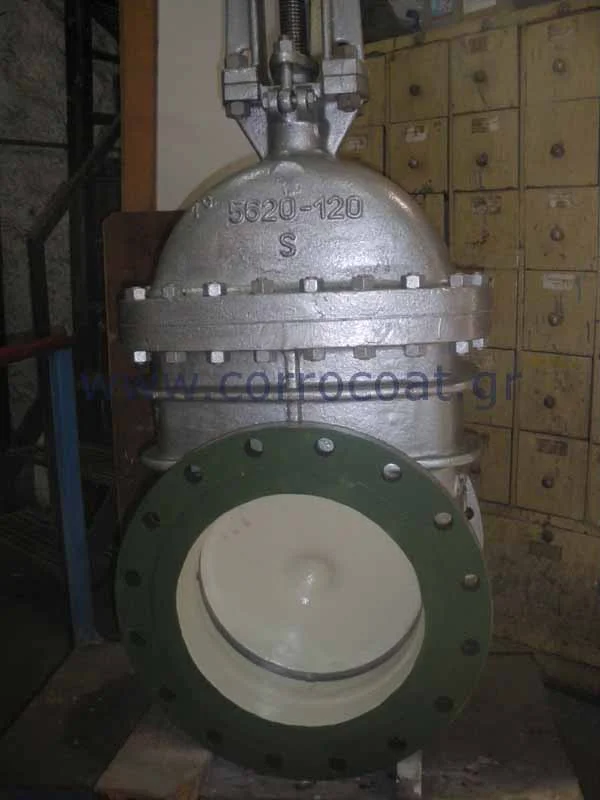IMGP1840.jpg