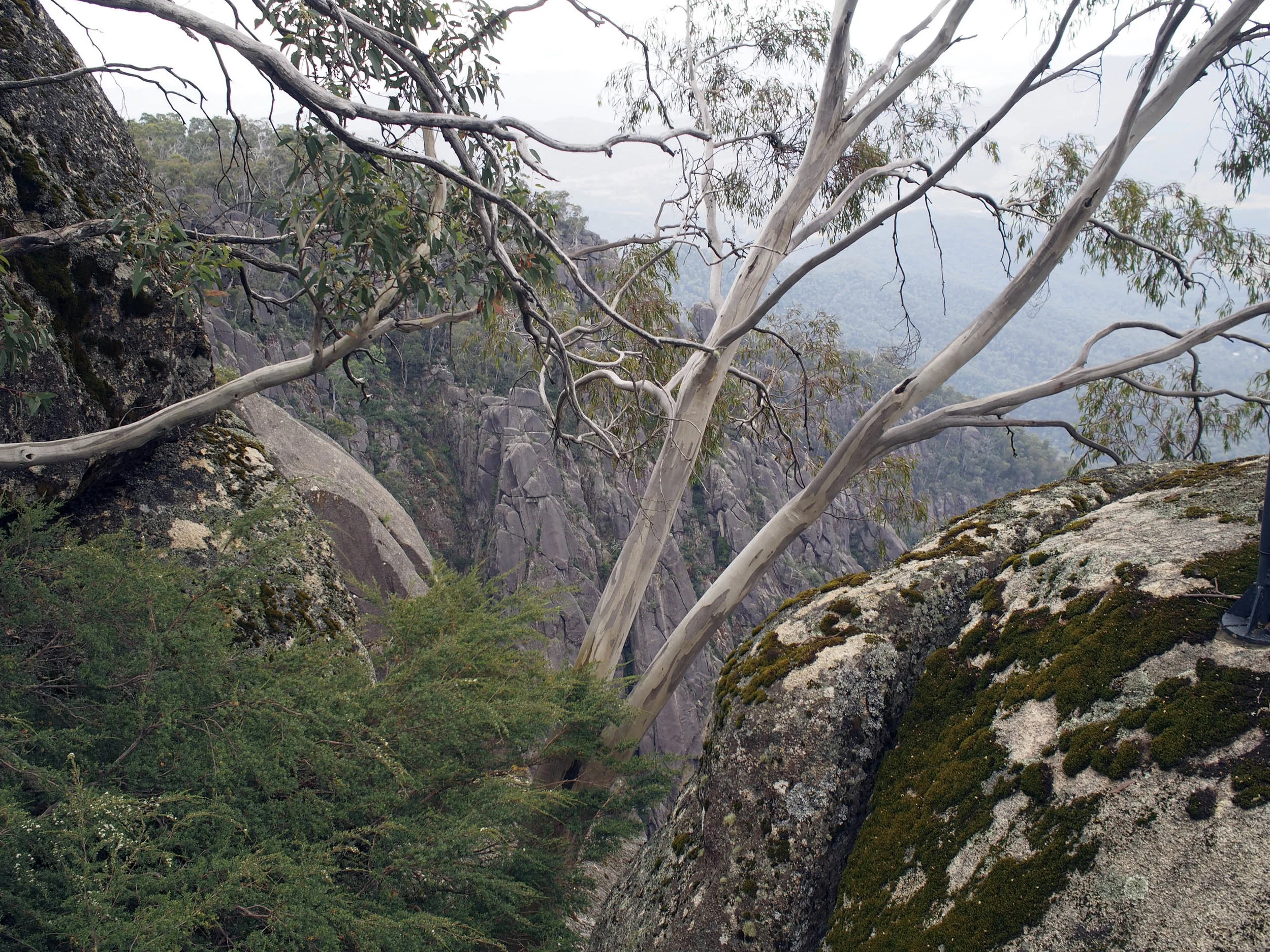 View form Hotham