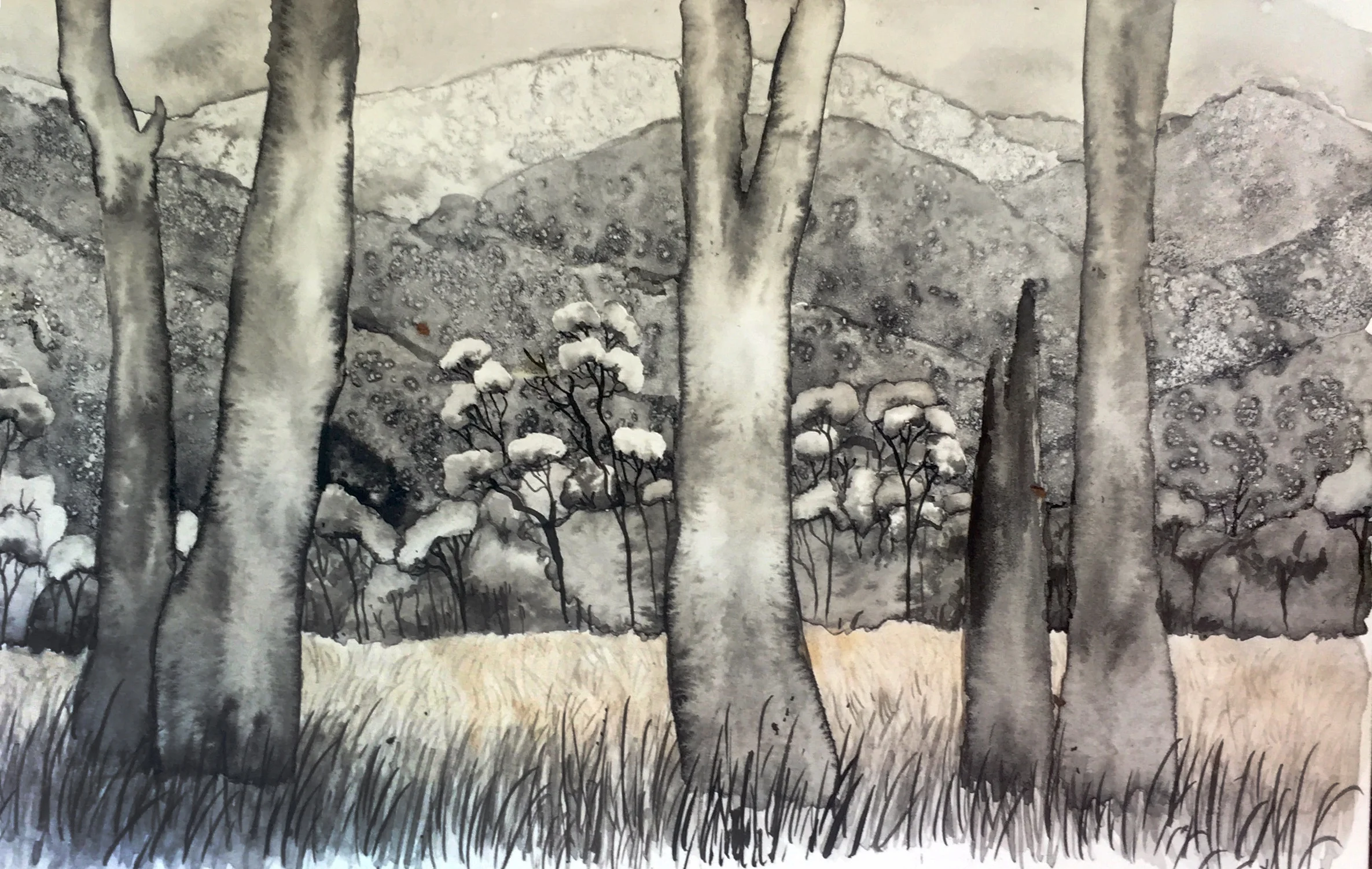 Study for new work ~ view from Faith’s Barn, ink on paper
