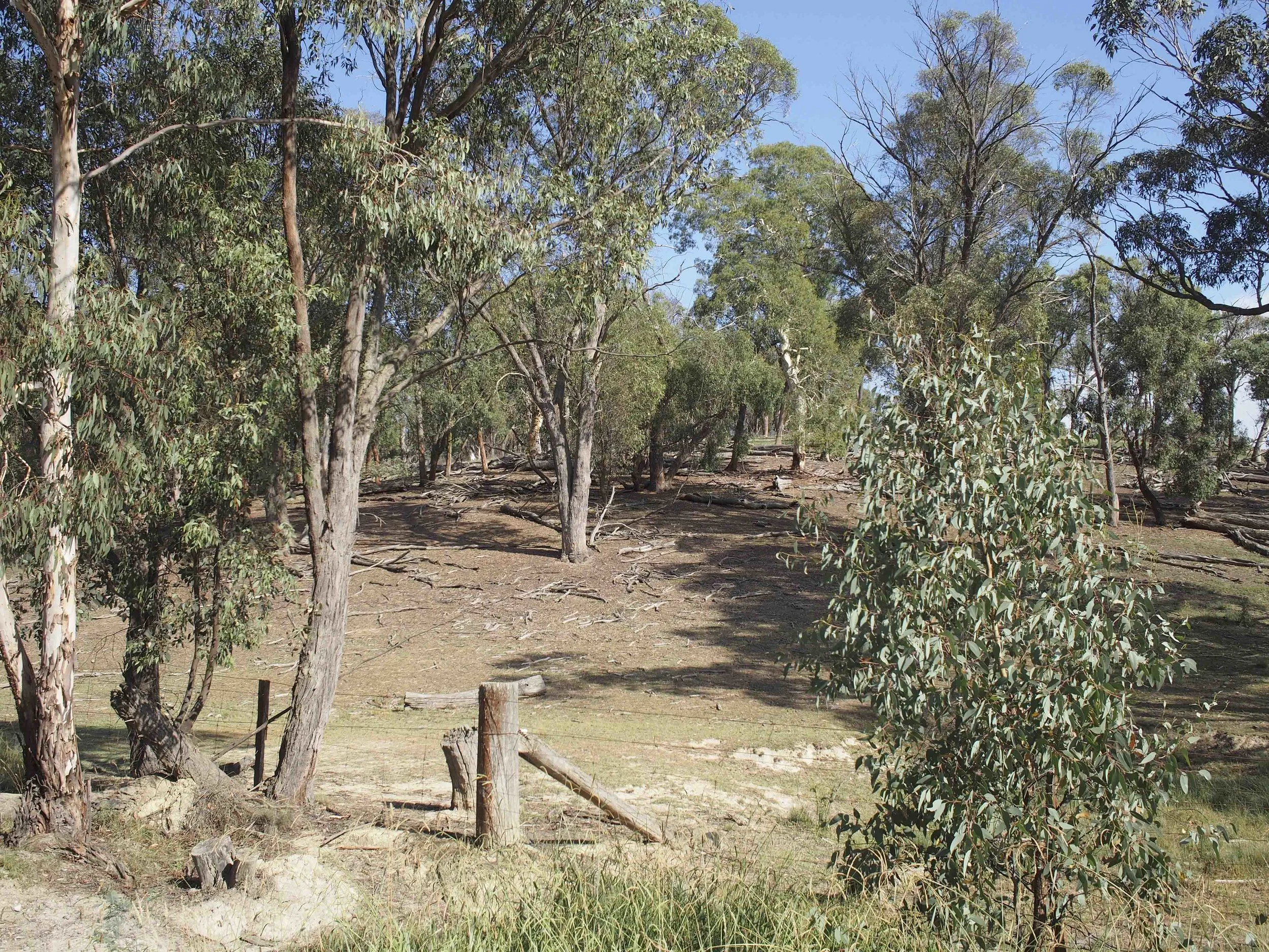 Crookwell day trip.jpg